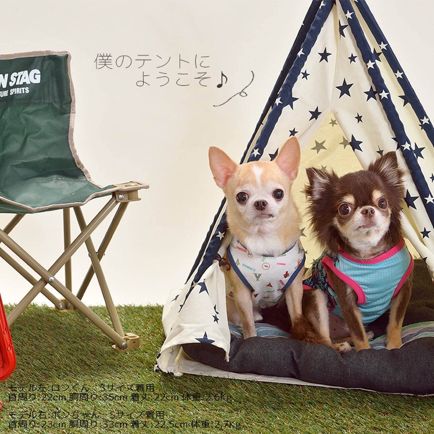 マンボウと海の仲間たちタンク 犬服 ドッグウェア S/M/L/XL/XXL ワンボヤージュ ブラウニーズ トイプードル チワワ ダックス br121522-1