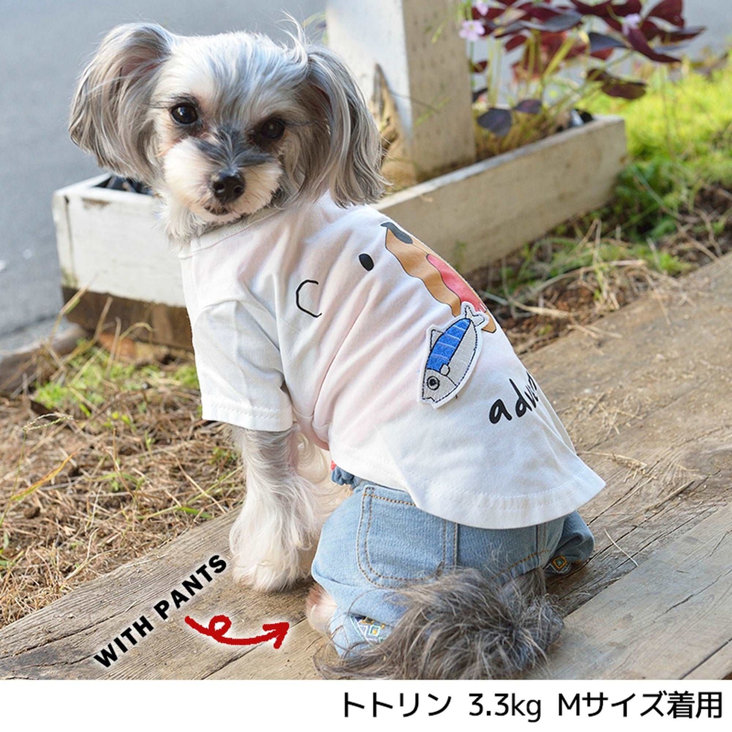 お魚とくまさんTシャツ S/M/L/2L/3L BROWNIE'S-ブラウニーズ- 犬服 ドッグウェア トイプードル チワワ ポメラニアン br151622-1 BR21SS