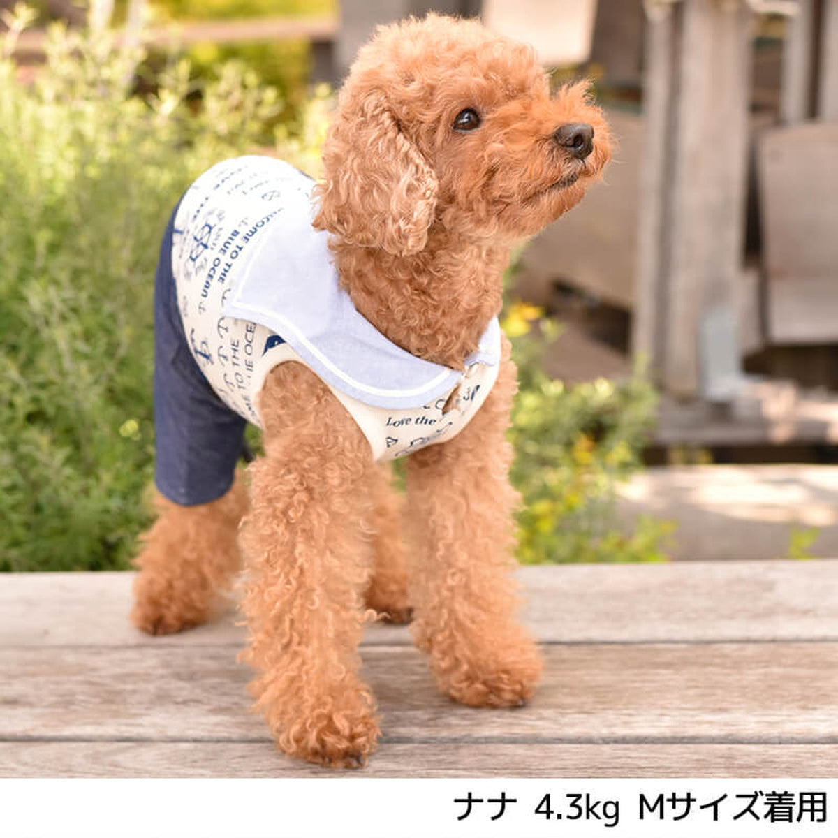 マリンセーラー衿つなぎ・ワンピ S/M/L/XL Dulce-ドゥルチェ- 犬服 ドッグウェア トイプードル チワワ ポメラニアン DU20SS du141009-1