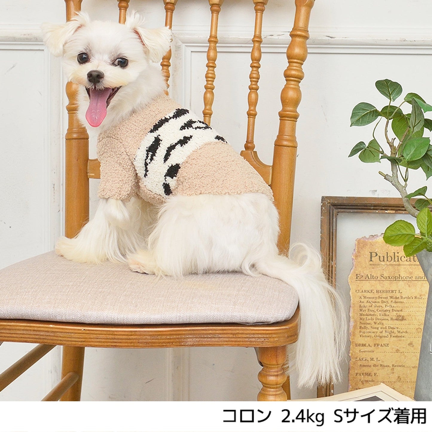 ヒョウ柄もこもこニット XL/XXL TINOTITO -ティノティート- 犬服 ドッグウェア トイプードル チワワ ポメラニアン TT21AW tt152229-3