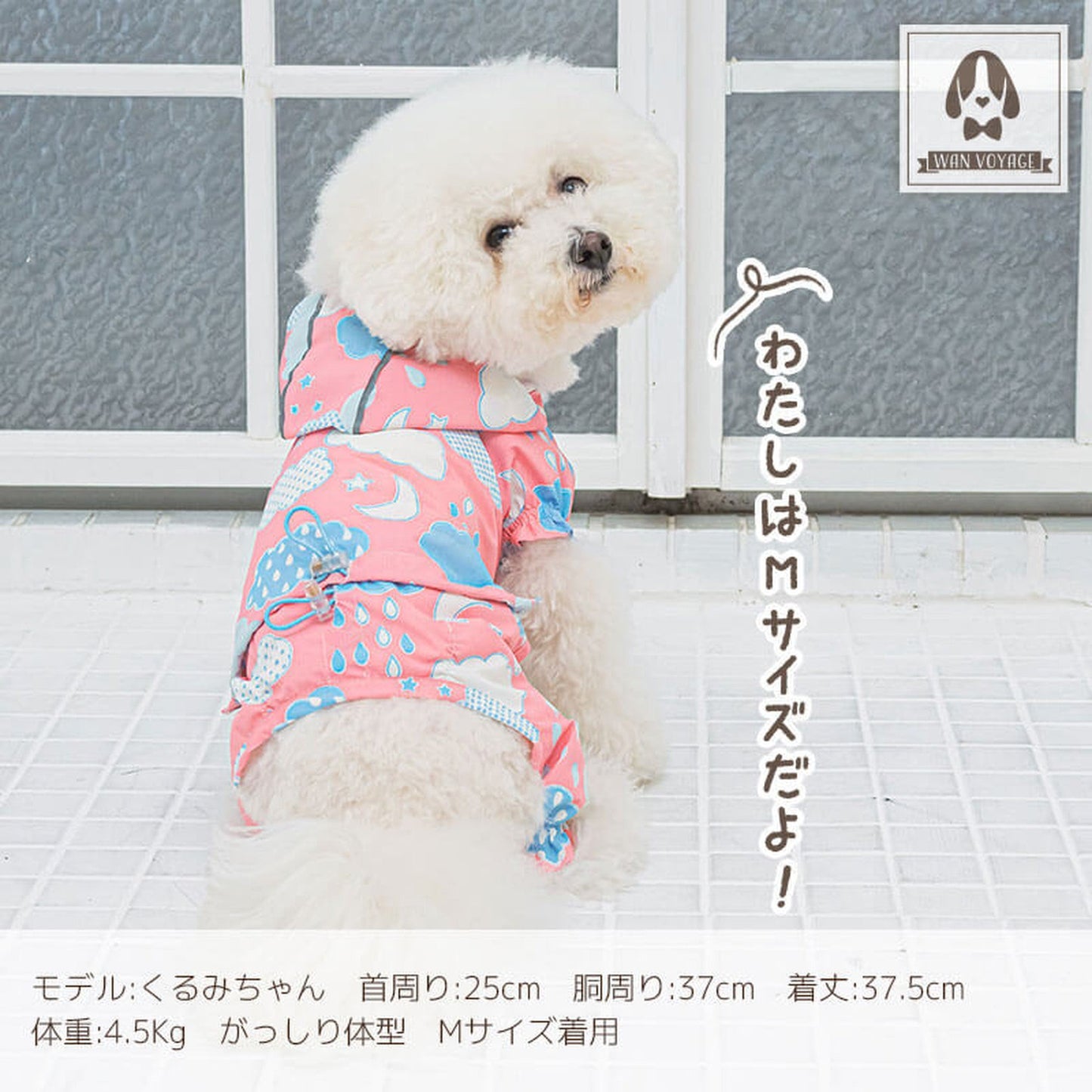 レインつなぎ 犬服 ドッグウェア S/M/L/2L(XL)/3L(XXL) ワンボヤージュ Solgra ソルグラ トイプードル チワワ ダックス 雨の日 so143017-1