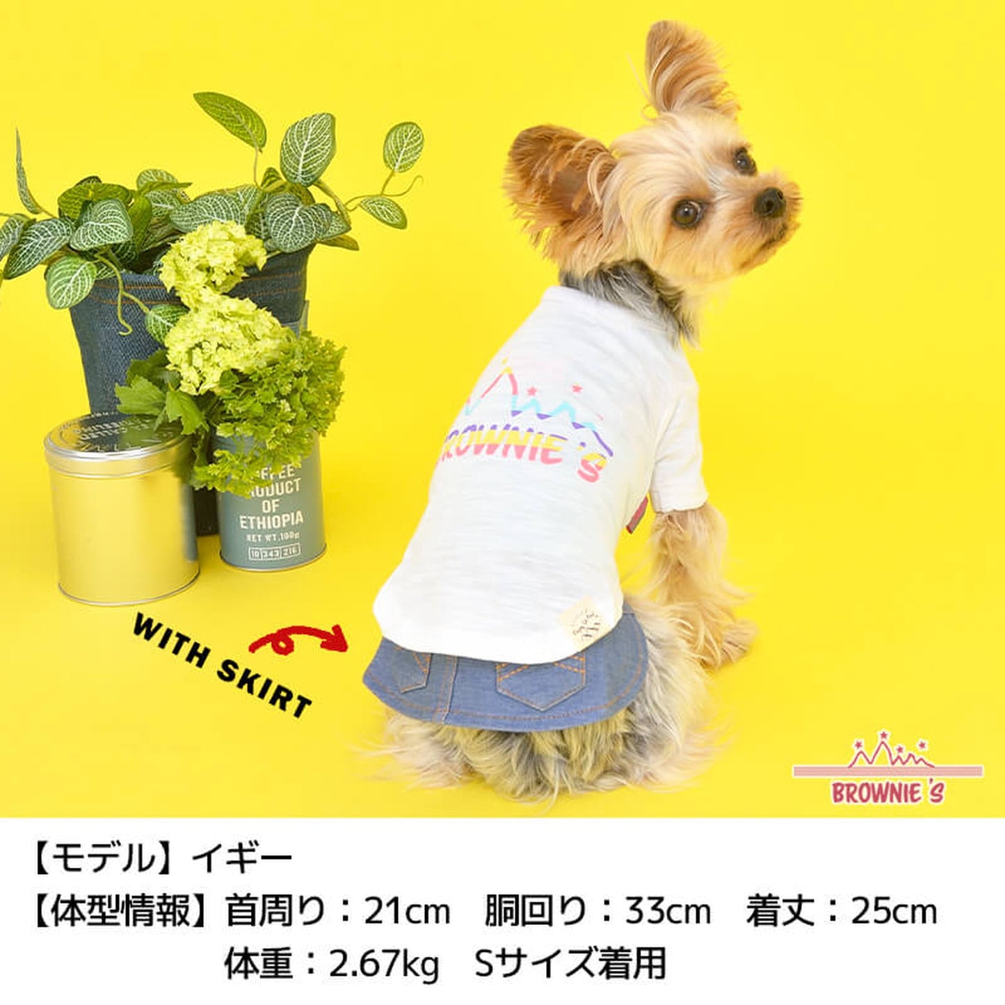 カラフルロゴTシャツ S/M/L/XL/XXL BROWNIE'S-ブラウニーズ- 犬服 ドッグウェア トイプードル チワワ ポメラニアン BR22SS br161670-1