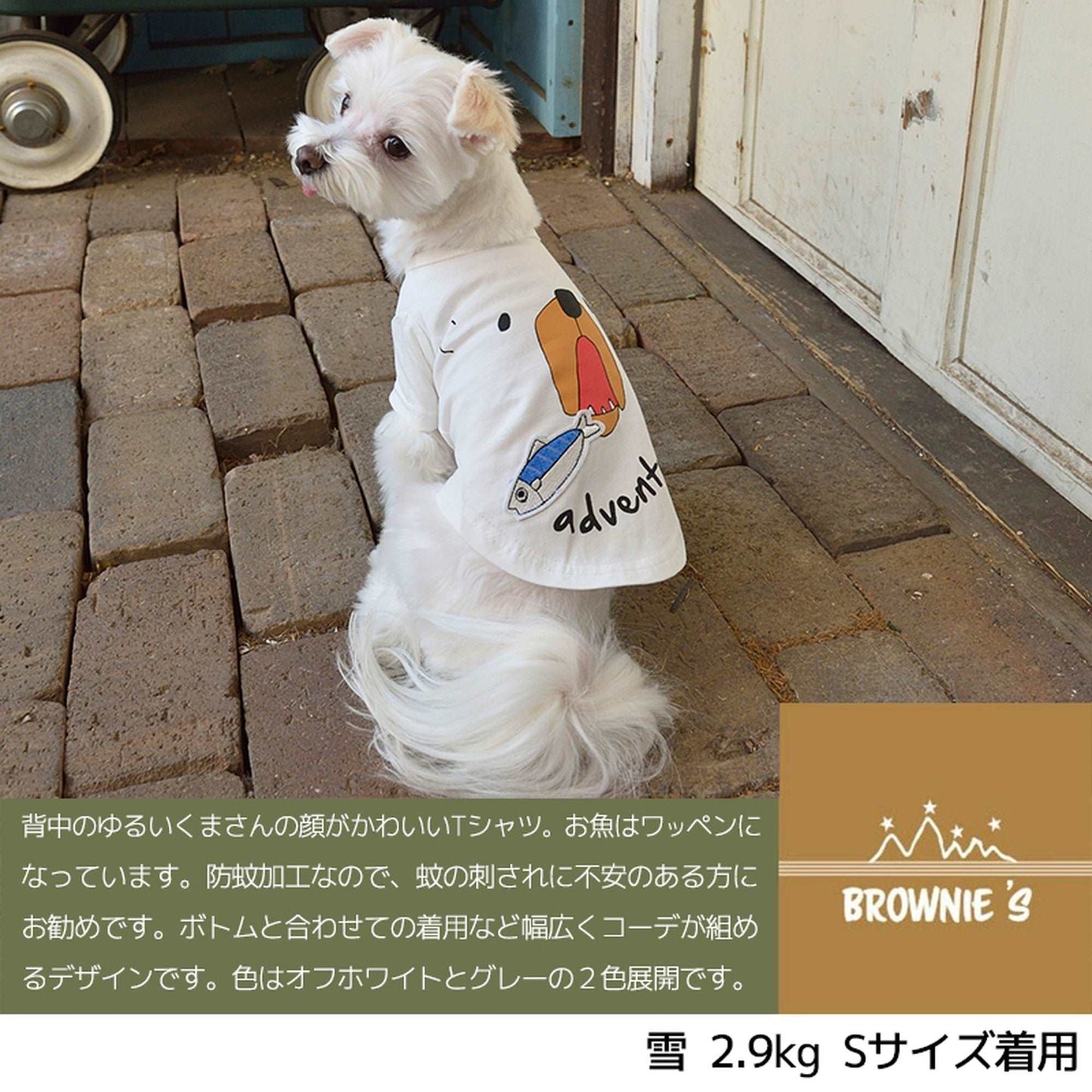 お魚とくまさんTシャツ S/M/L/2L/3L BROWNIE'S-ブラウニーズ- 犬服 ドッグウェア トイプードル チワワ ポメラニアン br151622-1 BR21SS