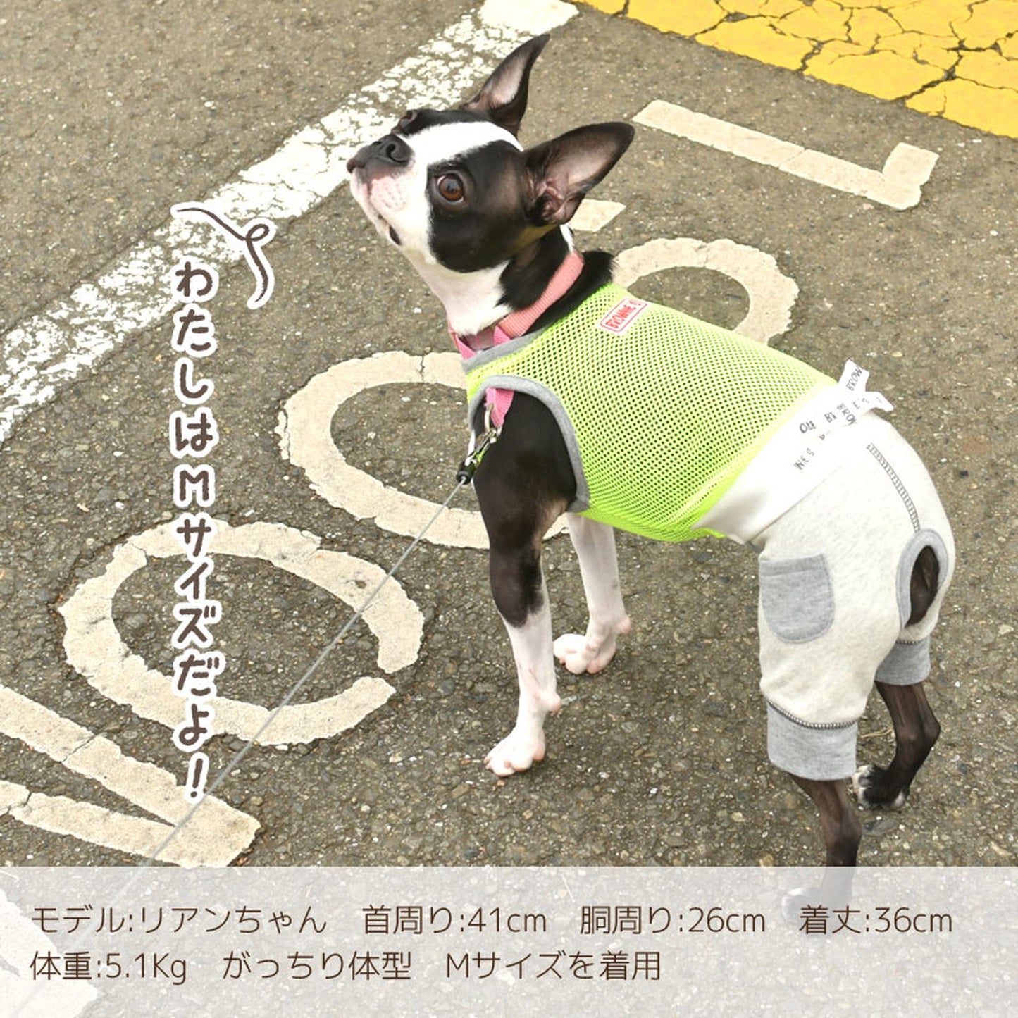 メッシュロンパース・ワンピース 犬服 ドッグウェア S/M/L/XL/XXL ワンボヤージュ ブラウニーズ トイプードル チワワ ダックス br133553-1