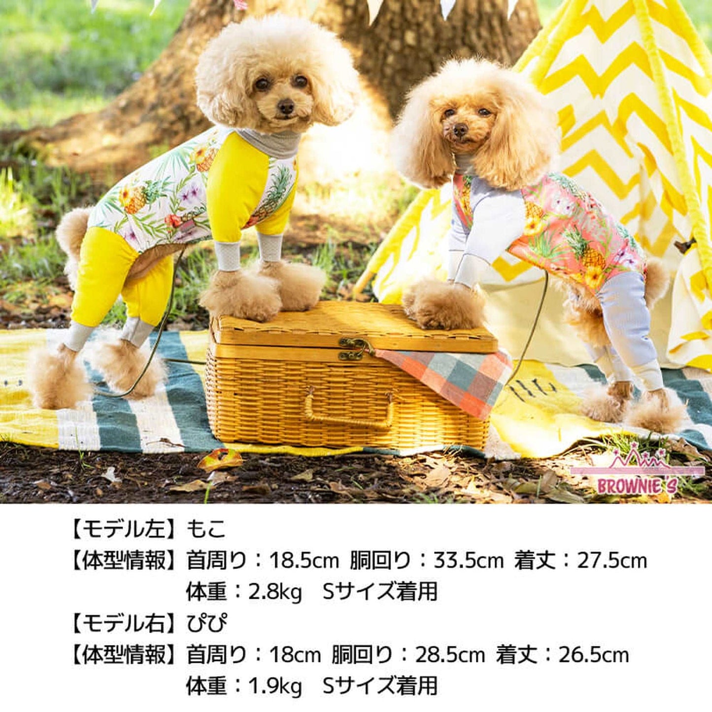 【2022年モデル】メッシュアクロン S/M/L/XL/XXL/DXS/DS/DM BROWNIE'S-ブラウニーズ- 犬服 ドッグウェア トイプードル チワワ ポメラニアン BR22SS br163681-1