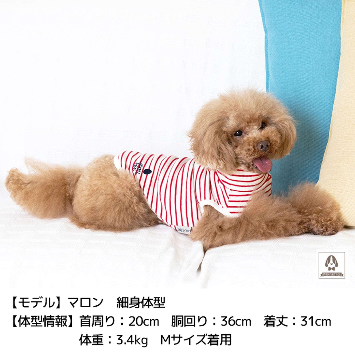 JE242 ボーダータンク XS/S/M/L/XL Jekyll Egg-ジキルエッグ- 犬服 ドッグウェア トイプードル チワワ ポメラニアン JE21AW je151242-1