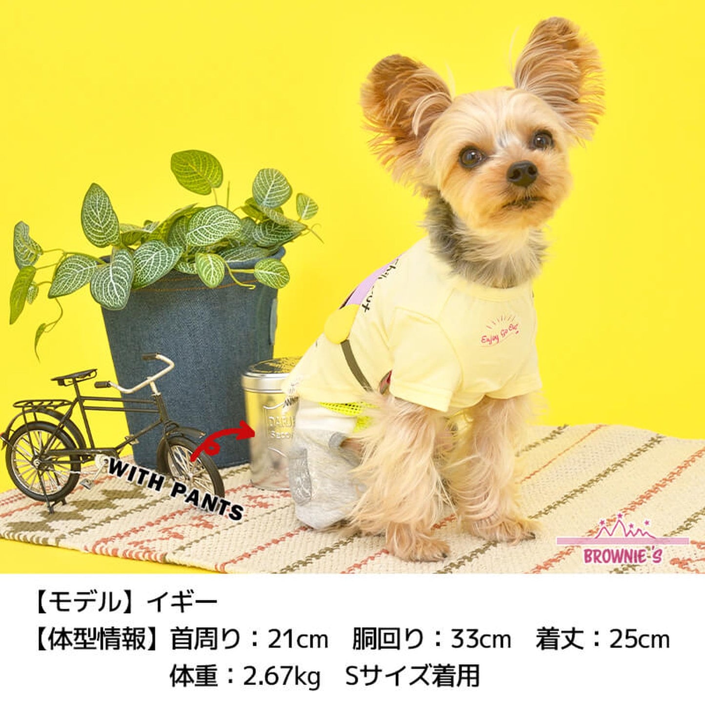 カラフルバッグTシャツ S/M/L/XL/XXL BROWNIE'S-ブラウニーズ- 犬服 ドッグウェア トイプードル チワワ ポメラニアン BR22SS br161674-1
