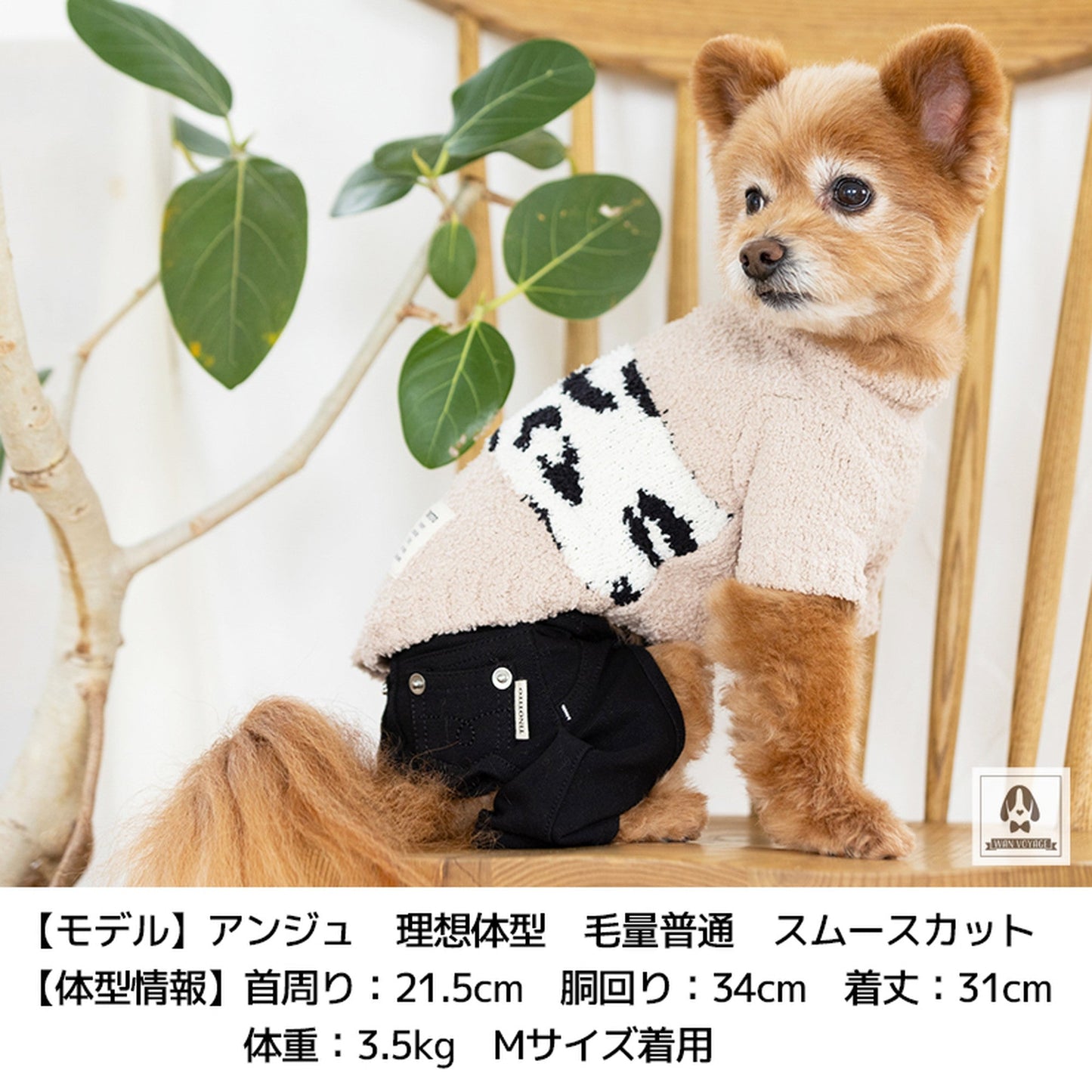 ヒョウ柄もこもこニット XL/XXL TINOTITO -ティノティート- 犬服 ドッグウェア トイプードル チワワ ポメラニアン TT21AW tt152229-3