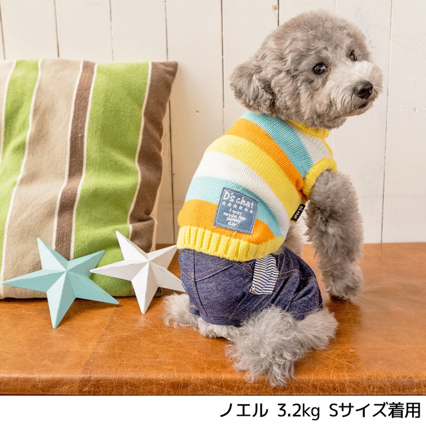 カラフルボーダーニット XL/XXL/DS/DM D's Chat-ディーズチャット- 犬服 ドッグウェア トイプードル チワワ ポメラニアン DS21AW ds152106-2
