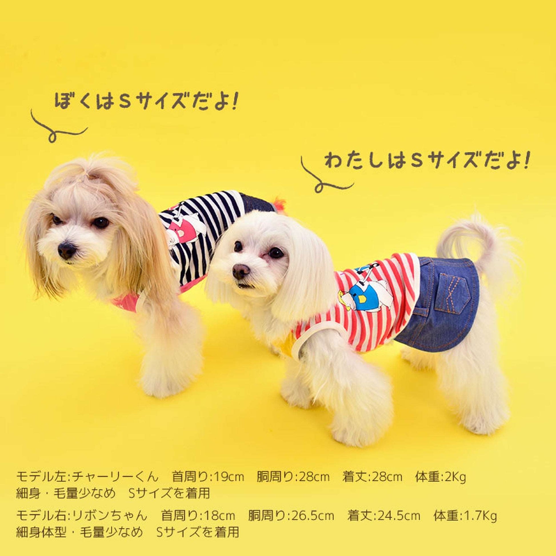 しろくまさんとキャリータンクトップ 犬服 ドッグウェア S/M/L/2L(XL)/3L(XXL) ワンボヤージュ ブラウニーズ トイプードル チワワ ダックス br141572-1