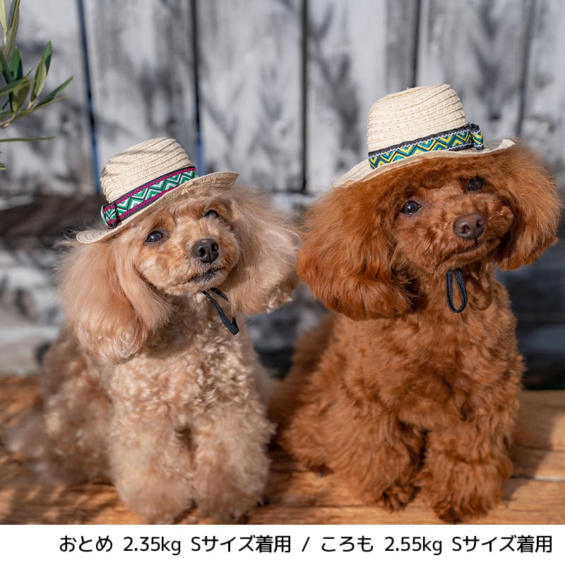 麦わら帽子 S/M/L Solgra-ソルグラ- 犬用 帽子 ハット アクセサリー トイプードル チワワ ポメラニアン SO22SS so169190-1