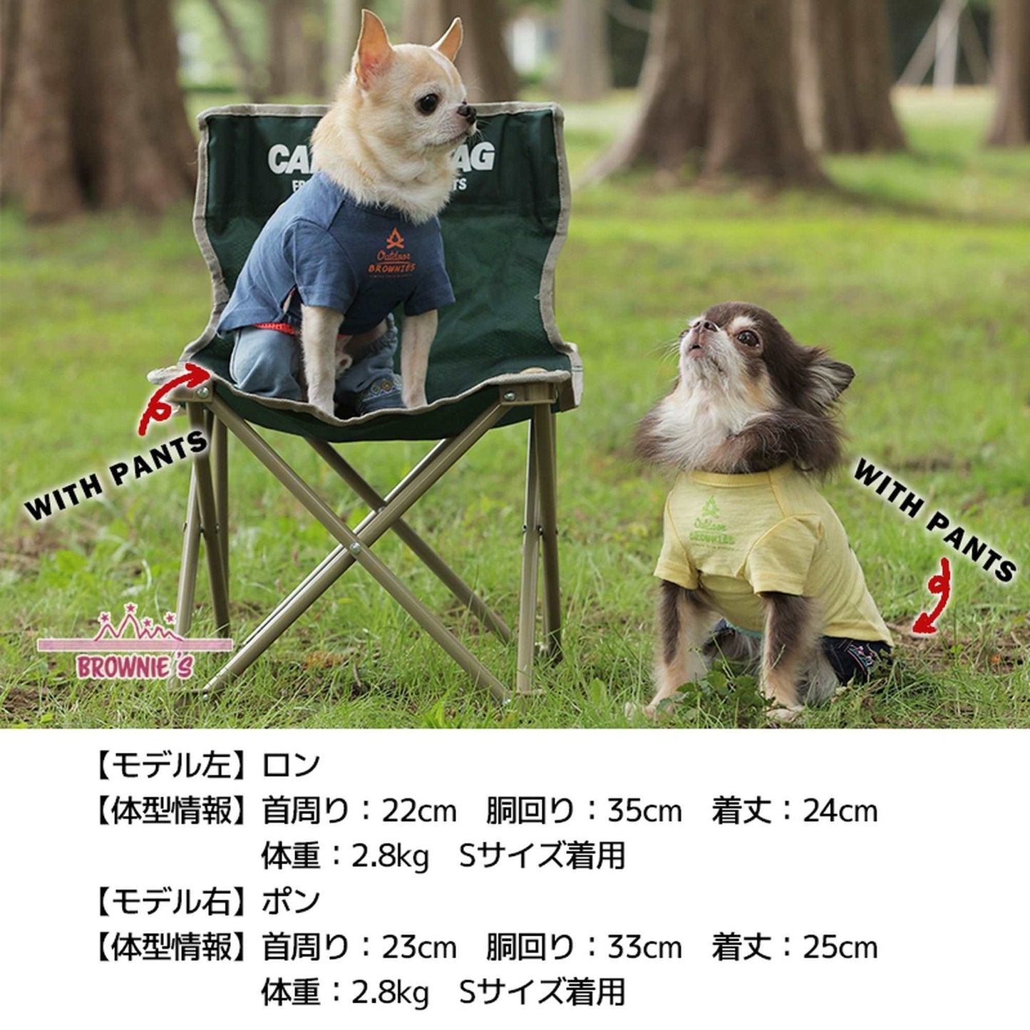 しろくまさんとドライブTシャツ S/M/L/2L/3L BROWNIE'S-ブラウニーズ- 犬服 ドッグウェア トイプードル チワワ ポメラニアン br151606-1 BR21SS