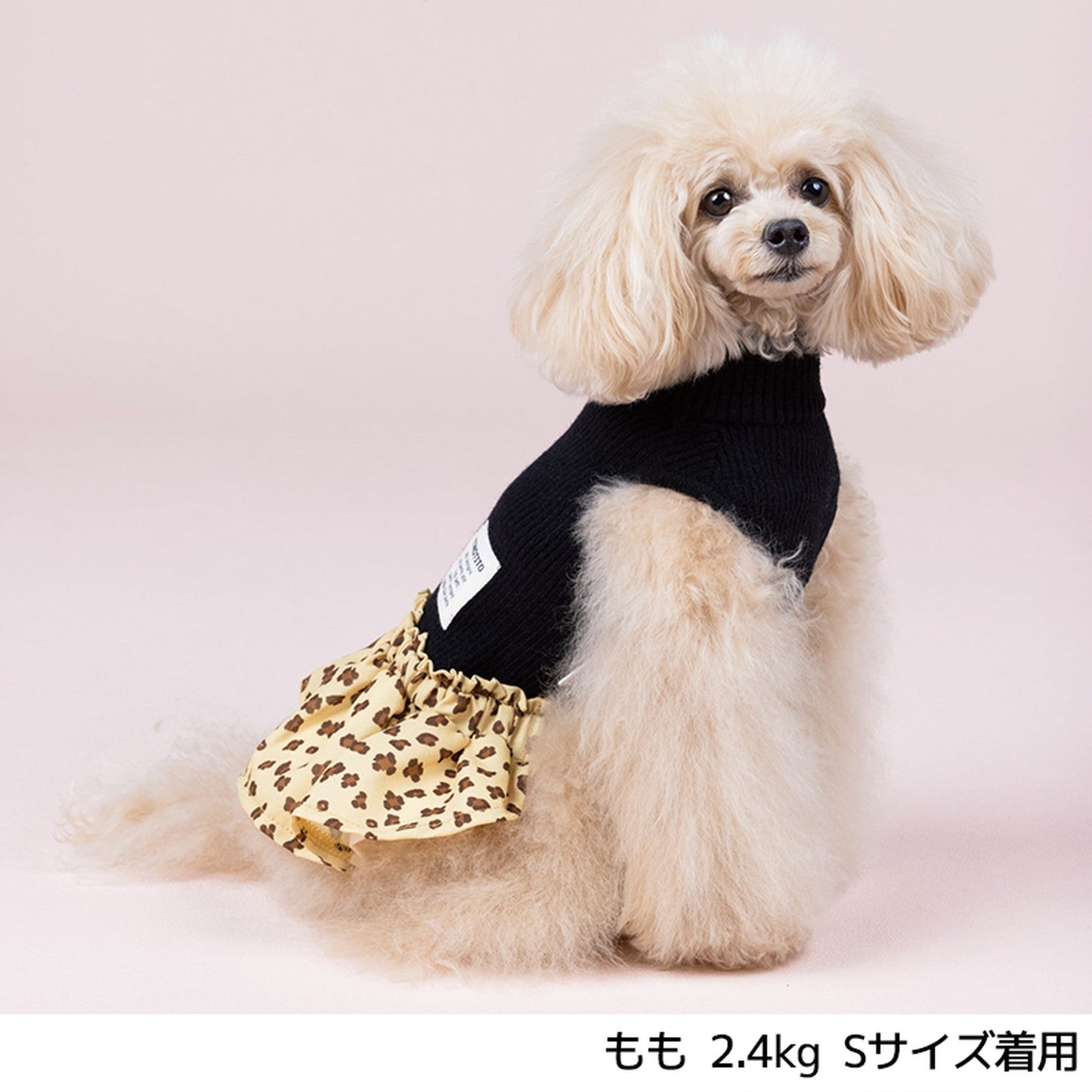 ヒョウ柄ギャザーワンピ XS/SM/L/XL/XXL TINOTITO -ティノティート- 犬服 ドッグウェア トイプードル チワワ ポメラニアン TT21AW tt154235-1