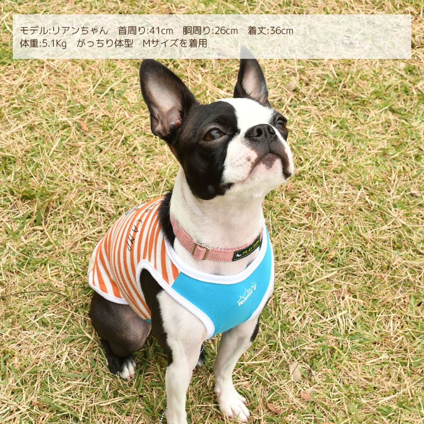 ちょっと一杯シロクマタンク 犬服 ドッグウェア S/M/L/XL/XXL ワンボヤージュ ブラウニーズ トイプードル チワワ ダックス br131546-1