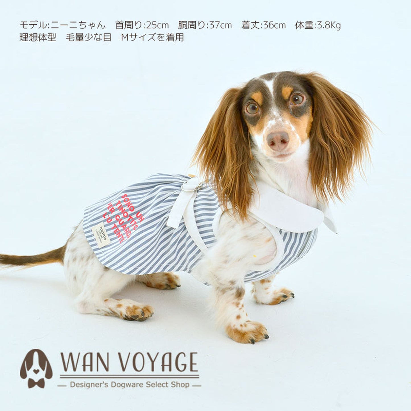 丸衿ストライプワンピース 犬服 ドッグウェア XS/S/M/L/XL/XXL ワンボヤージュ TINOTITO ティノティート トイプードル チワワ ダックス tt144176-1