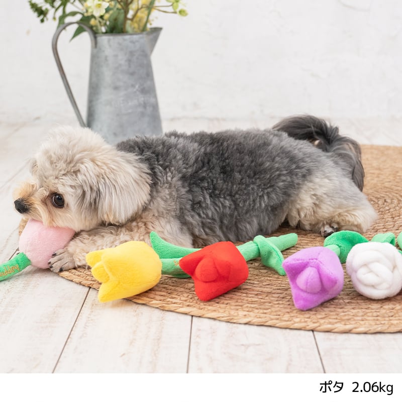 チューリップおもちゃ Free Solgra TOY -ソルグラ トイ- 犬用おもちゃ ドッグトイ トイプードル チワワ ポメラニアン SO22SS so165183-1