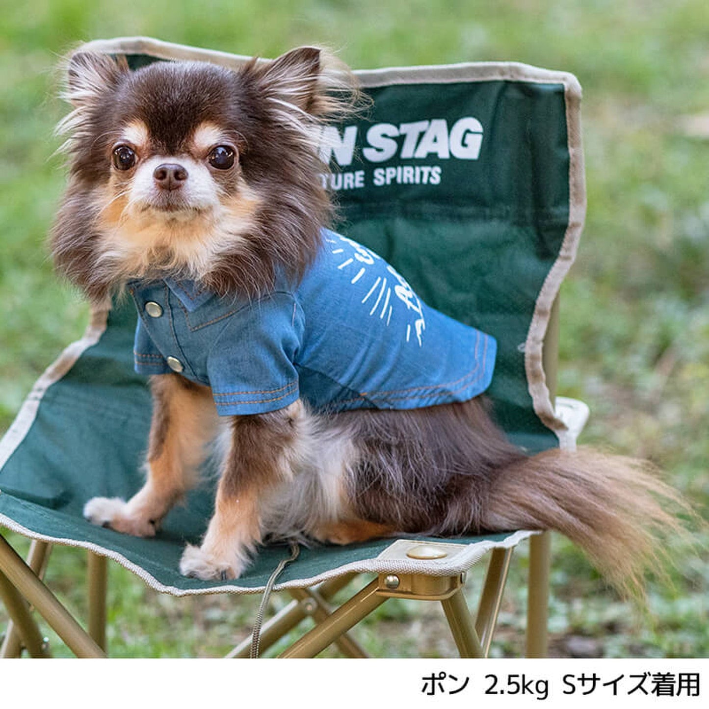 マウンテンデニムシャツ S/M/L/XL/XXL BROWNIE'S-ブラウニーズ- 犬服 ドッグウェア トイプードル チワワ ポメラニアン BR22SS br162684-1