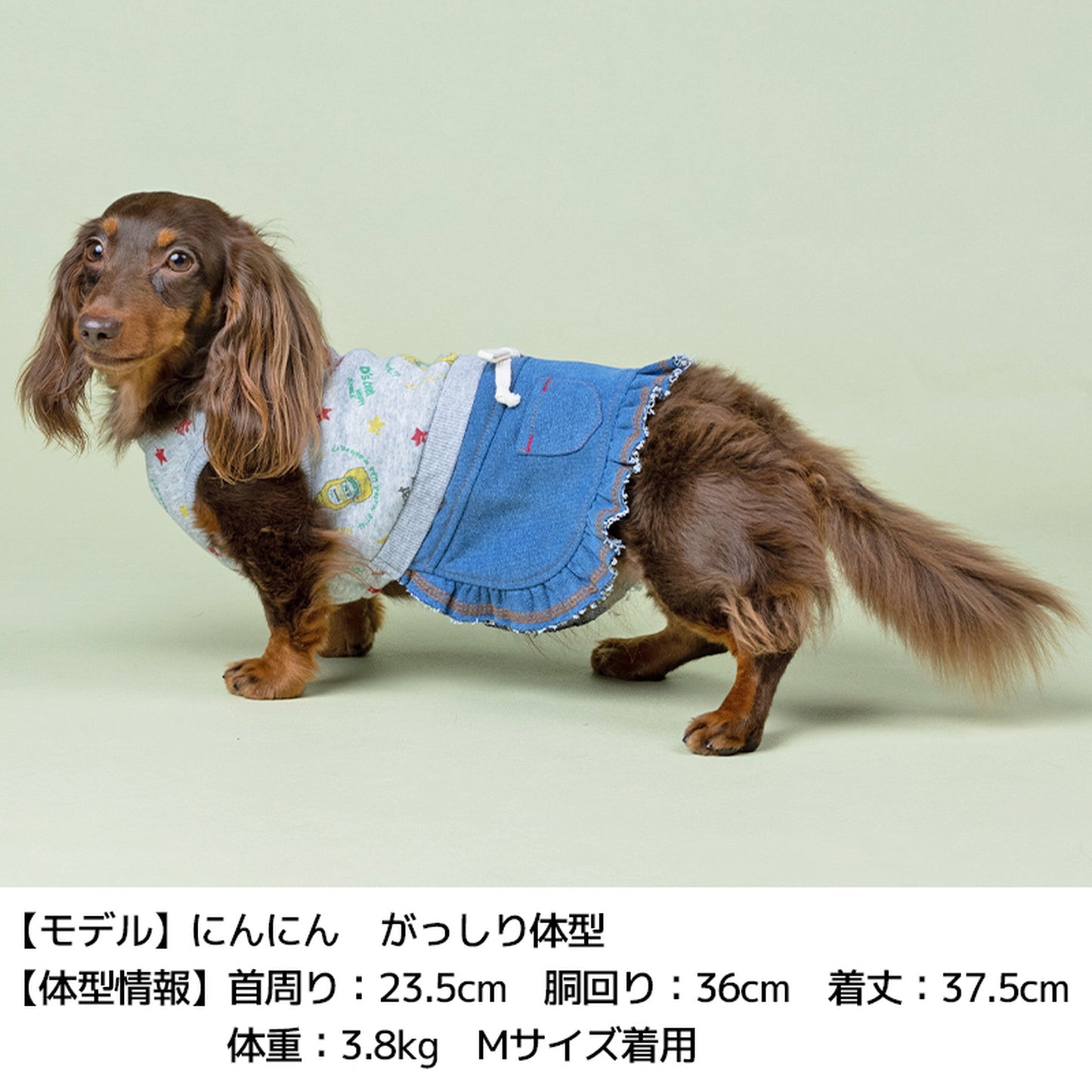 ケチャッププリントワンピ XS/S/M/L D's Chat-ディーズチャット- 犬服 ドッグウェア トイプードル チワワ ポメラニアン DS21AW ds154109-1