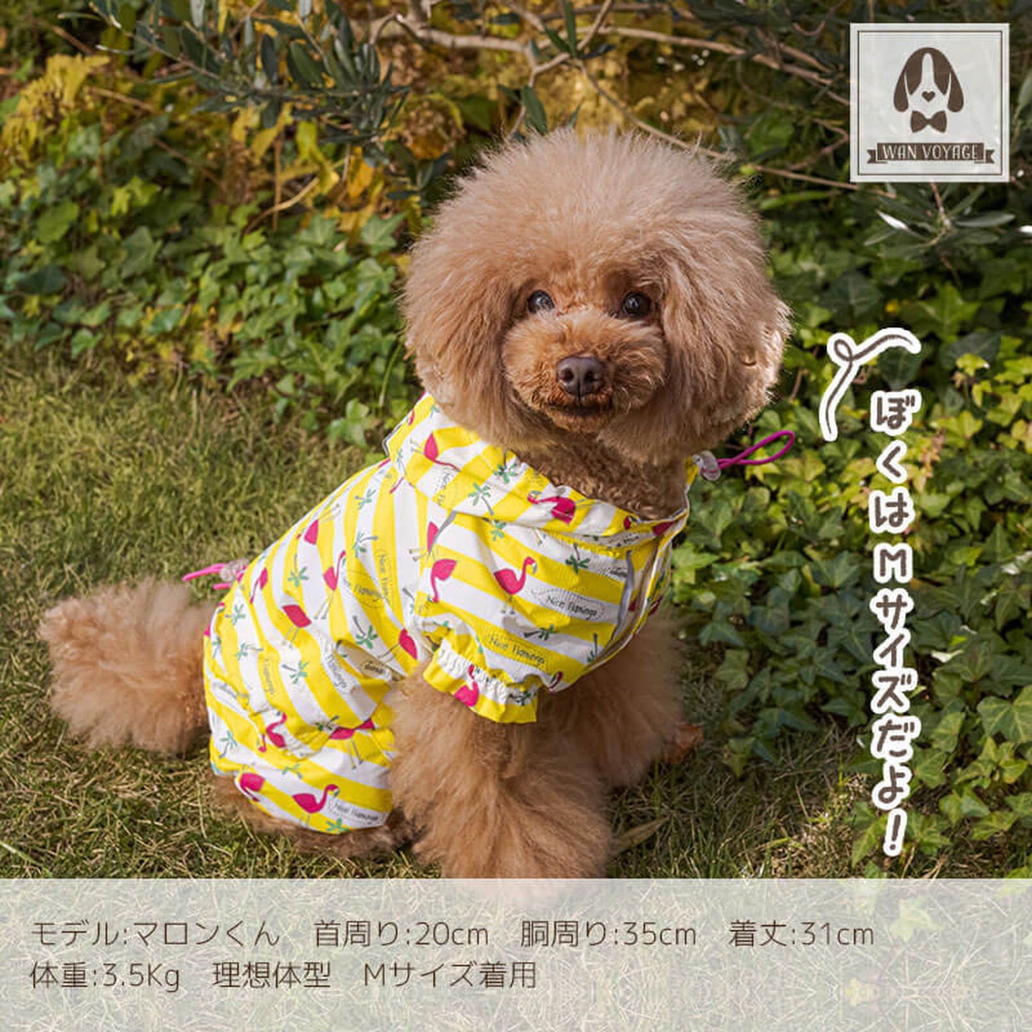 レインつなぎ 犬服 ドッグウェア S/M/L/2L(XL)/3L(XXL) ワンボヤージュ Solgra ソルグラ トイプードル チワワ ダックス 雨の日 so143017-1