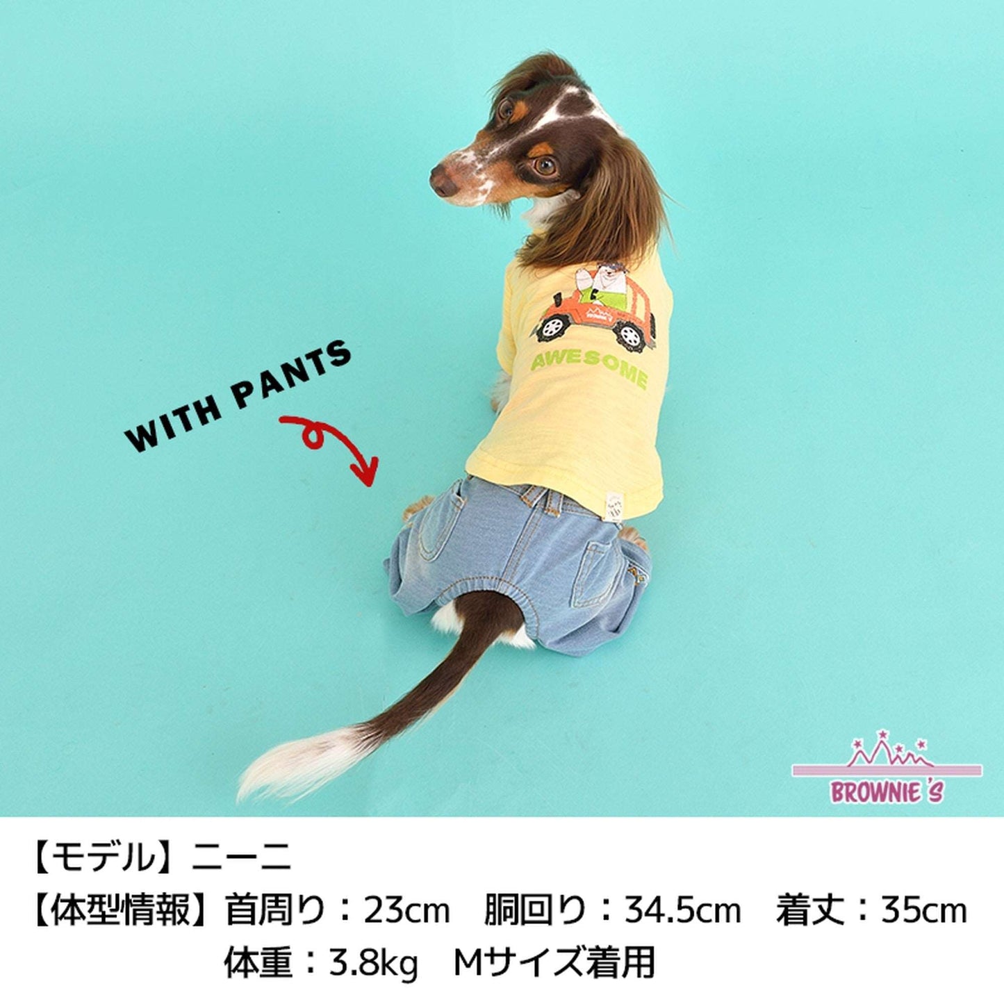 しろくまさんとドライブTシャツ S/M/L/2L/3L BROWNIE'S-ブラウニーズ- 犬服 ドッグウェア トイプードル チワワ ポメラニアン br151606-1 BR21SS