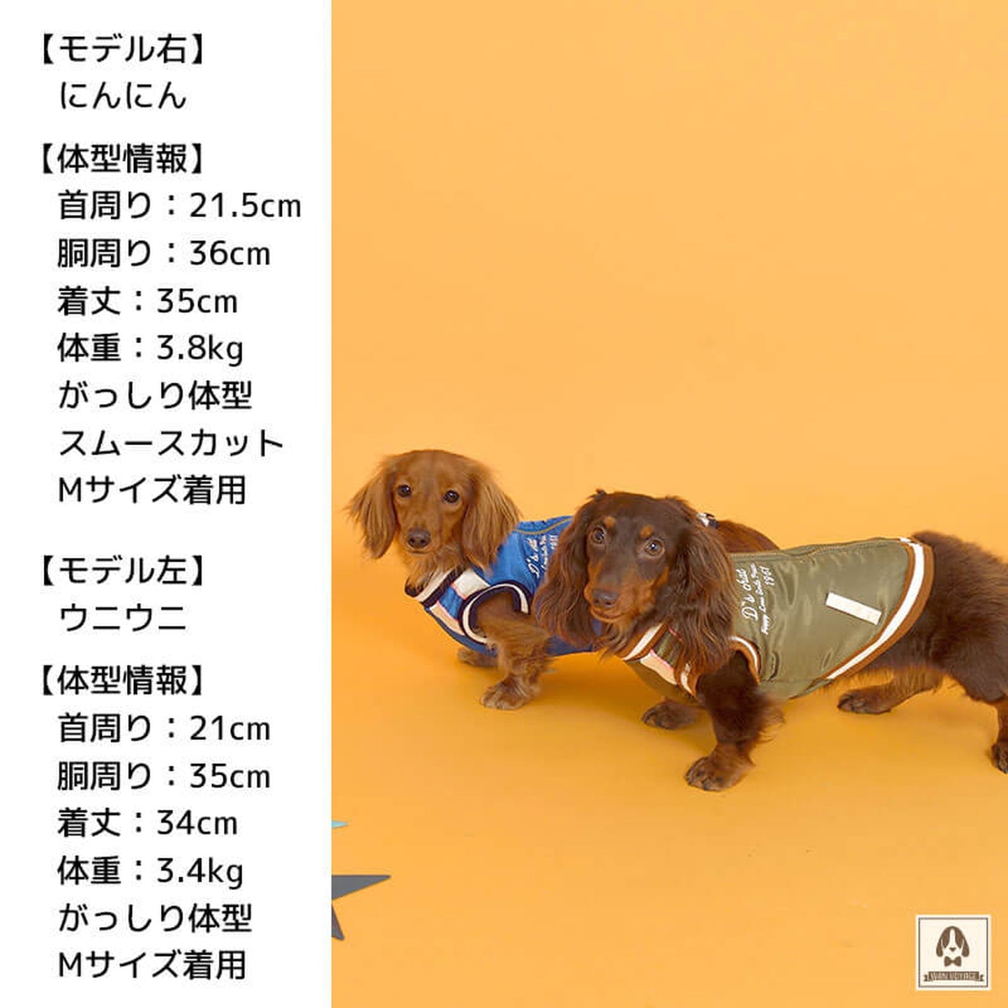 背開きアメリカンスカジャン 犬服 ドッグウェア XL/XXL/DS/DM/DL/FB ワンボヤージュ ディーズチャット トイプードル チワワ ダックス DS20AW ds142070-2