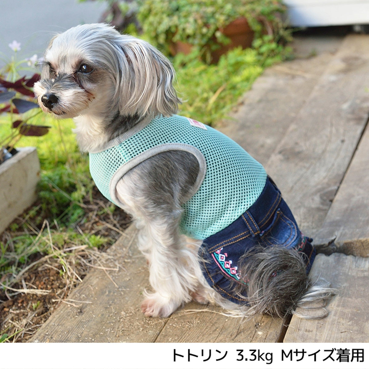 デニムネイティブロンパース・ワンピース S/M/L/2L/3L BROWNIE'S-ブラウニーズ- 犬服 ドッグウェア トイプードル チワワ ポメラニアン br153615-1 BR21SS