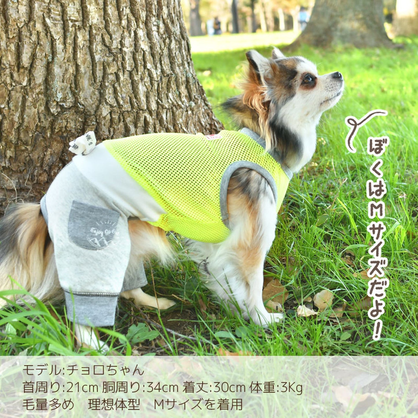 メッシュロンパース・ワンピース 犬服 ドッグウェア S/M/L/XL/XXL ワンボヤージュ ブラウニーズ トイプードル チワワ ダックス br133553-1