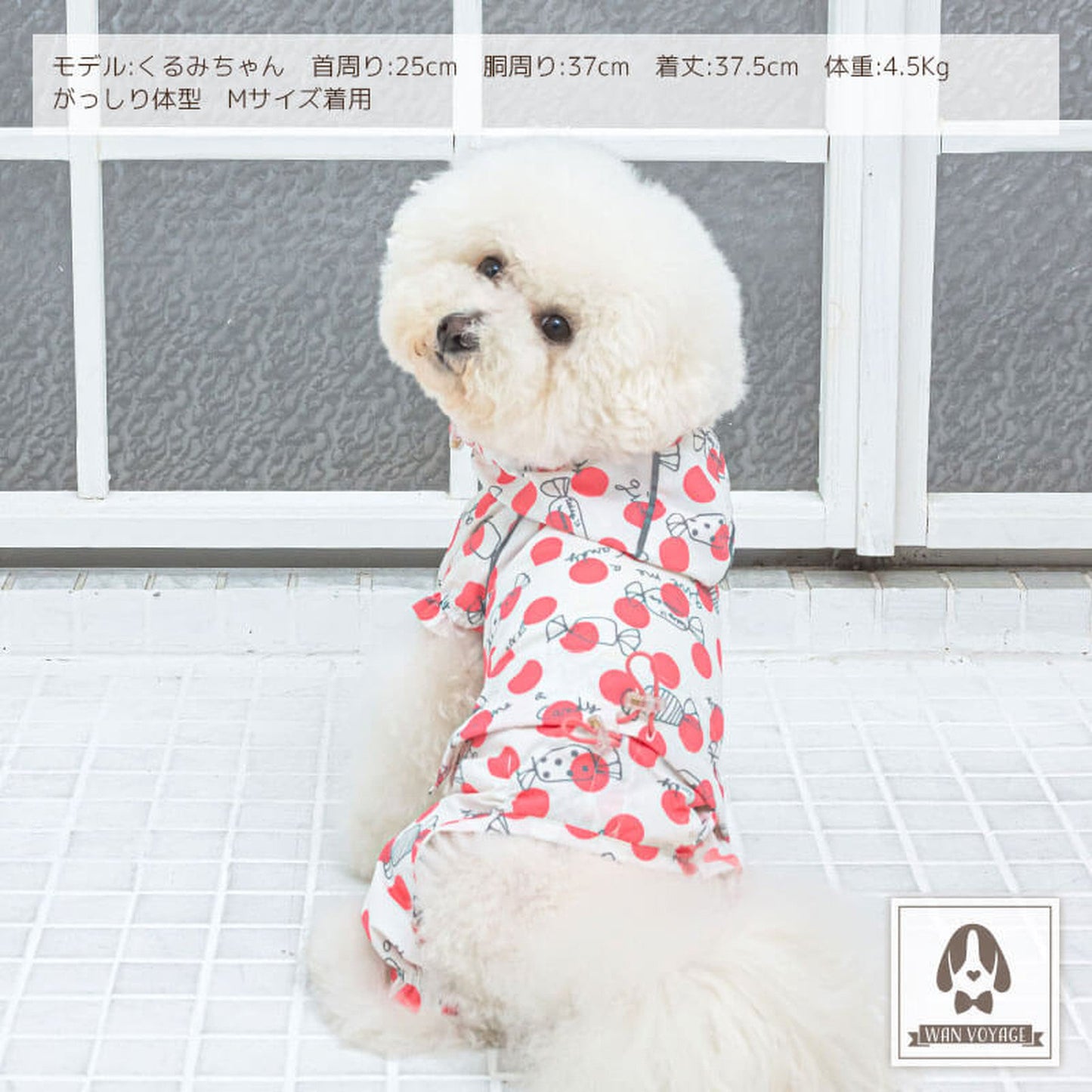 レインつなぎ 犬服 ドッグウェア S/M/L/2L(XL)/3L(XXL) ワンボヤージュ Solgra ソルグラ トイプードル チワワ ダックス 雨の日 so143017-1