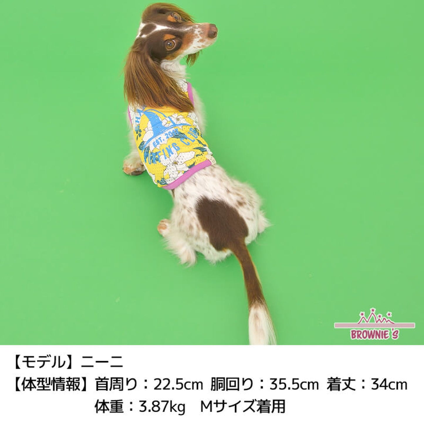 クレマチス柄メッシュタンク S/M/L/XL/XXL BROWNIE'S-ブラウニーズ- 犬服 ドッグウェア トイプードル チワワ ポメラニアン BR22SS br161673-1