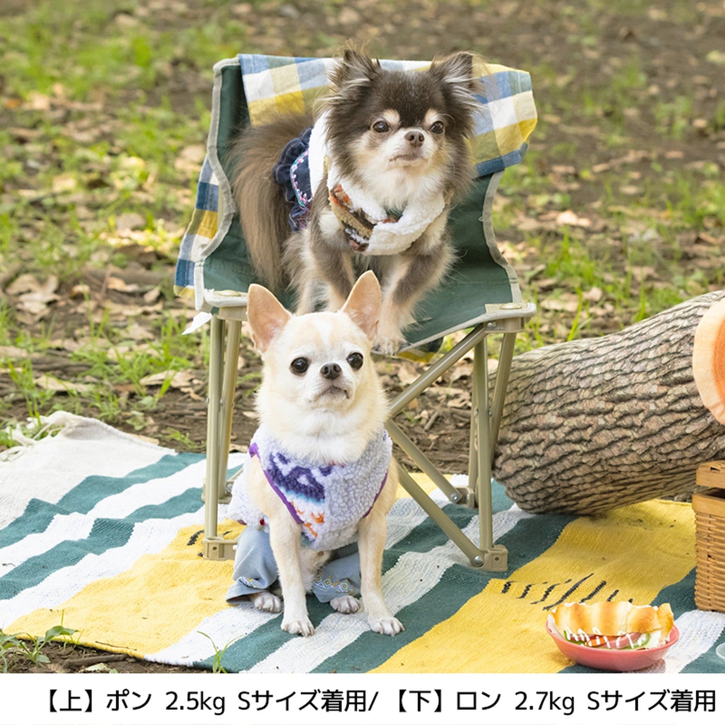 ネイティブボアベスト S/M/L/XL/XXL/4L/5L/6L/OS/OM/OL BROWNIE'S-ブラウニーズ- 犬服 ドッグウェア 小型犬 中型犬 大型犬 BR21AW br152642-1