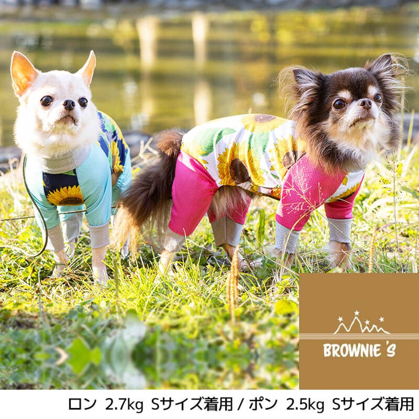 【2022年モデル】メッシュアクロン S/M/L/XL/XXL/DXS/DS/DM BROWNIE'S-ブラウニーズ- 犬服 ドッグウェア トイプードル チワワ ポメラニアン BR22SS br163681-1