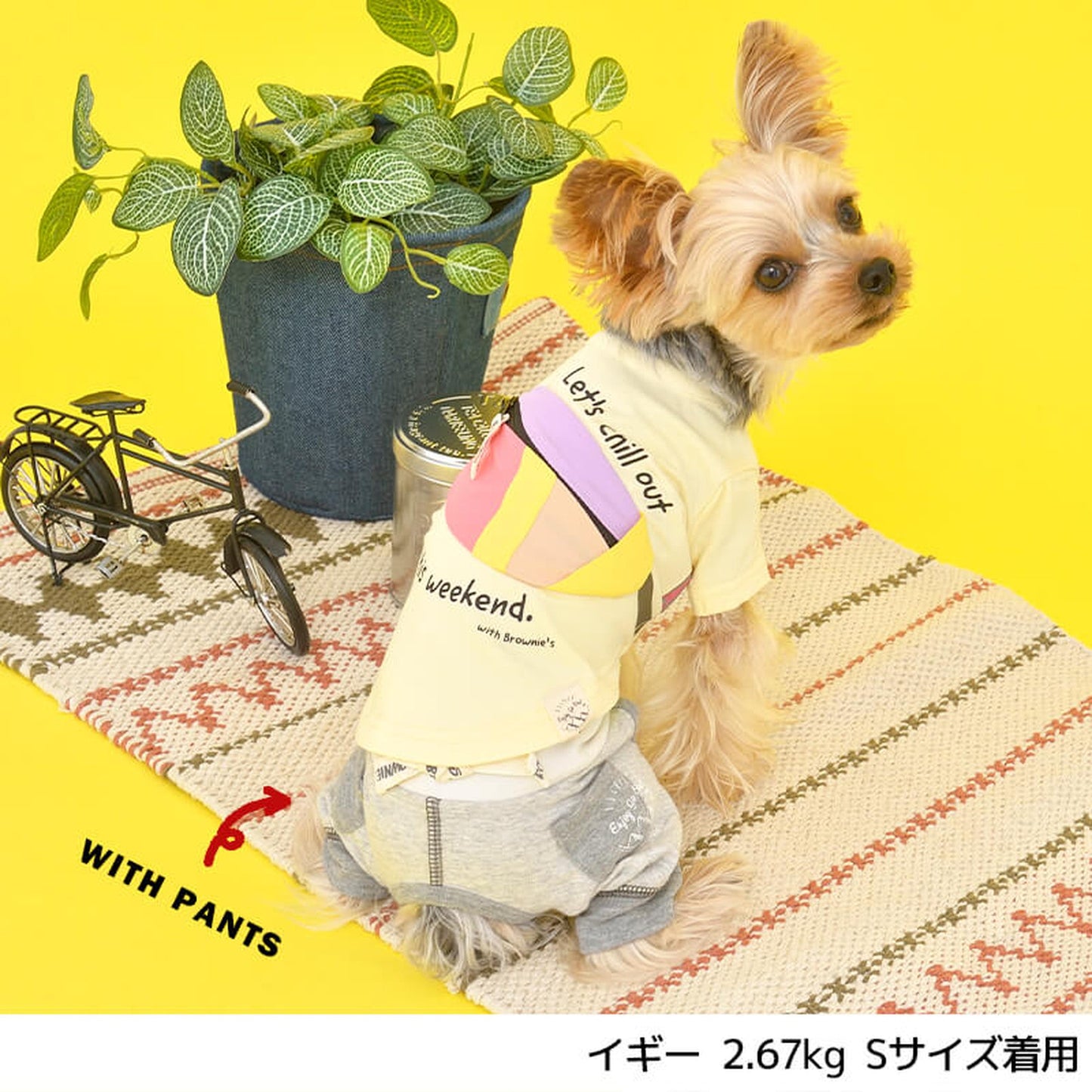 カラフルバッグTシャツ S/M/L/XL/XXL BROWNIE'S-ブラウニーズ- 犬服 ドッグウェア トイプードル チワワ ポメラニアン BR22SS br161674-1