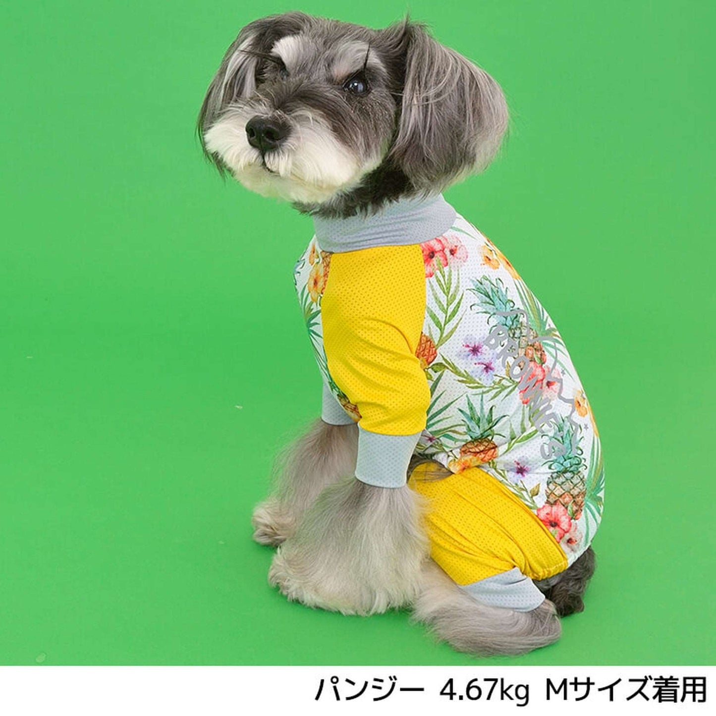 【2022年モデル】メッシュアクロン S/M/L/XL/XXL/DXS/DS/DM BROWNIE'S-ブラウニーズ- 犬服 ドッグウェア トイプードル チワワ ポメラニアン BR22SS br163681-1