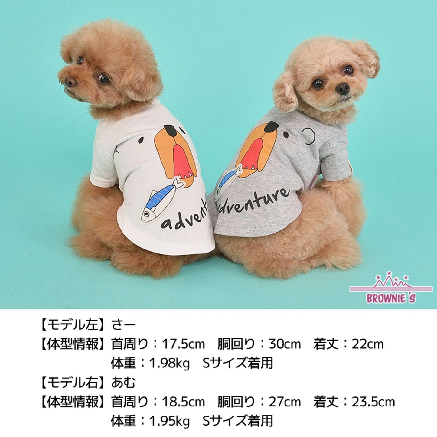 お魚とくまさんTシャツ S/M/L/2L/3L BROWNIE'S-ブラウニーズ- 犬服 ドッグウェア トイプードル チワワ ポメラニアン br151622-1 BR21SS