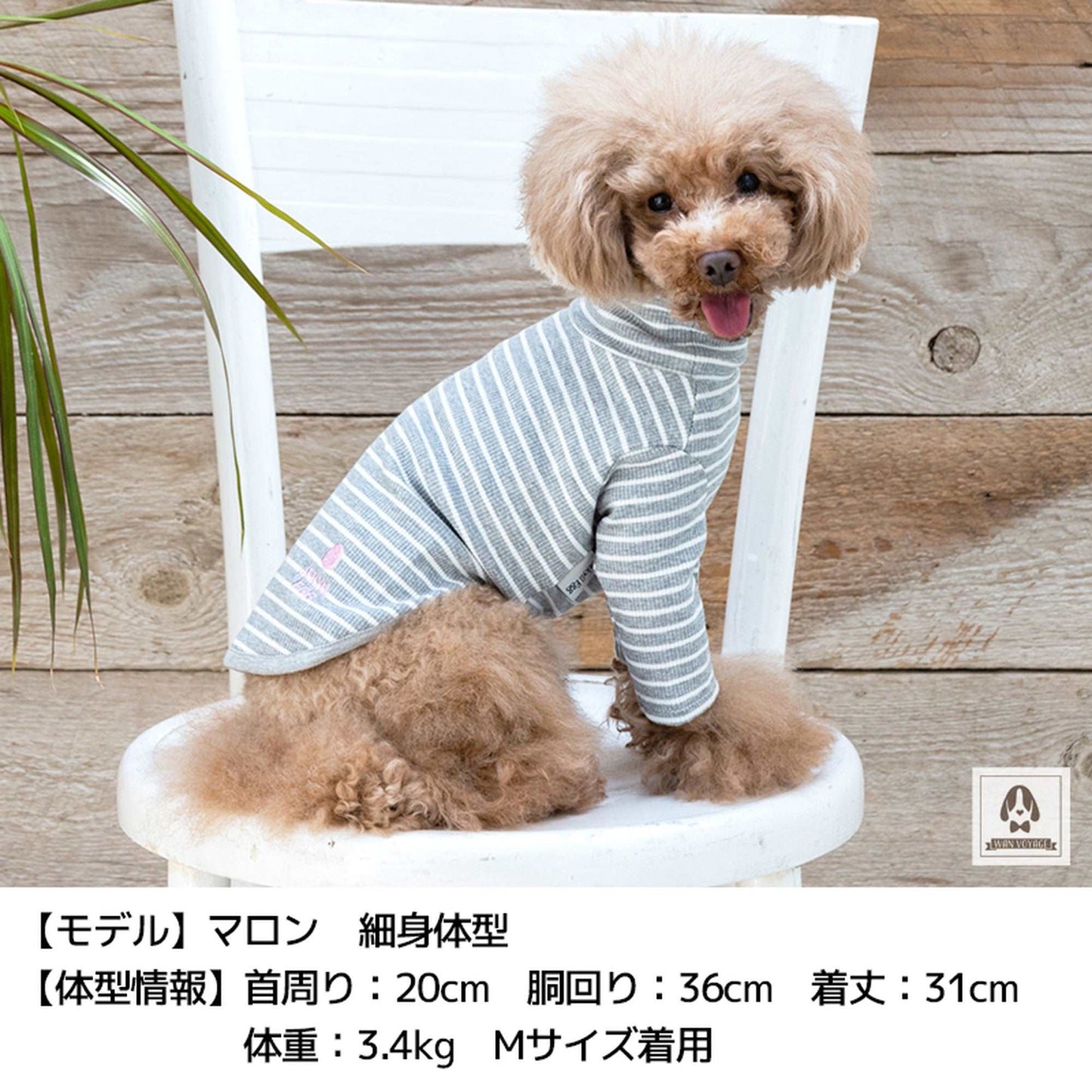 JE241 ボーダーロング袖 XS/S/M/L/XL Jekyll Egg-ジキルエッグ- 犬服 長袖 ドッグウェア トイプードル チワワ ポメラニアン JE21AW je151241-1