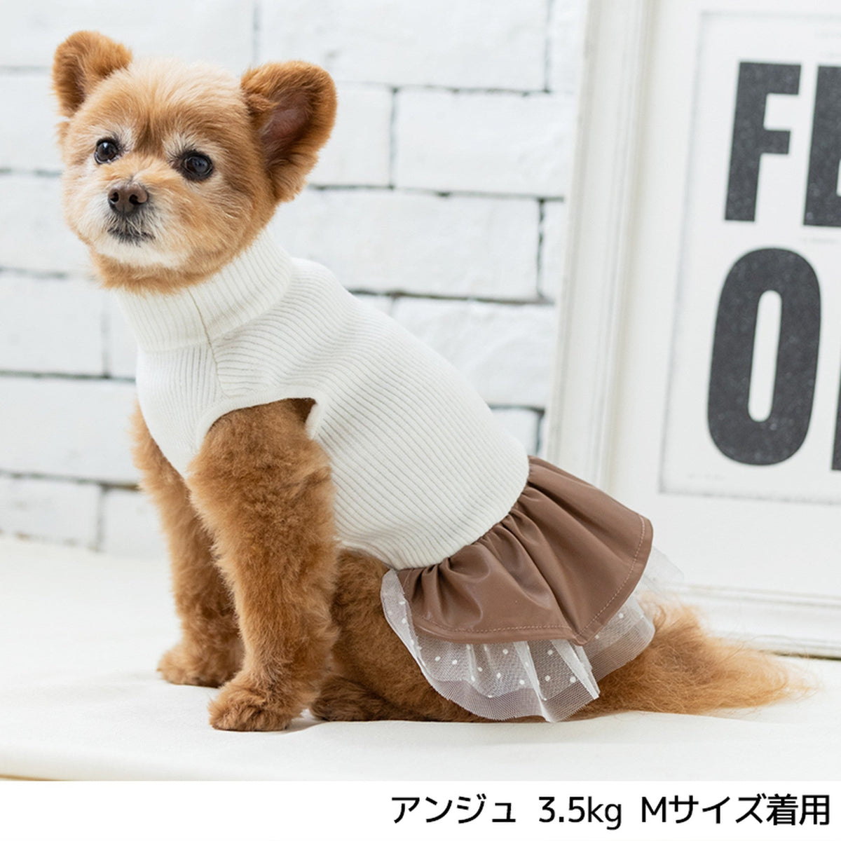 レザースカートワンピ XS/S/M/L/XL/XXL TINOTITO -ティノティート- 犬服 ドッグウェア トイプードル チワワ ポメラニアン TT21AW tt154236-1