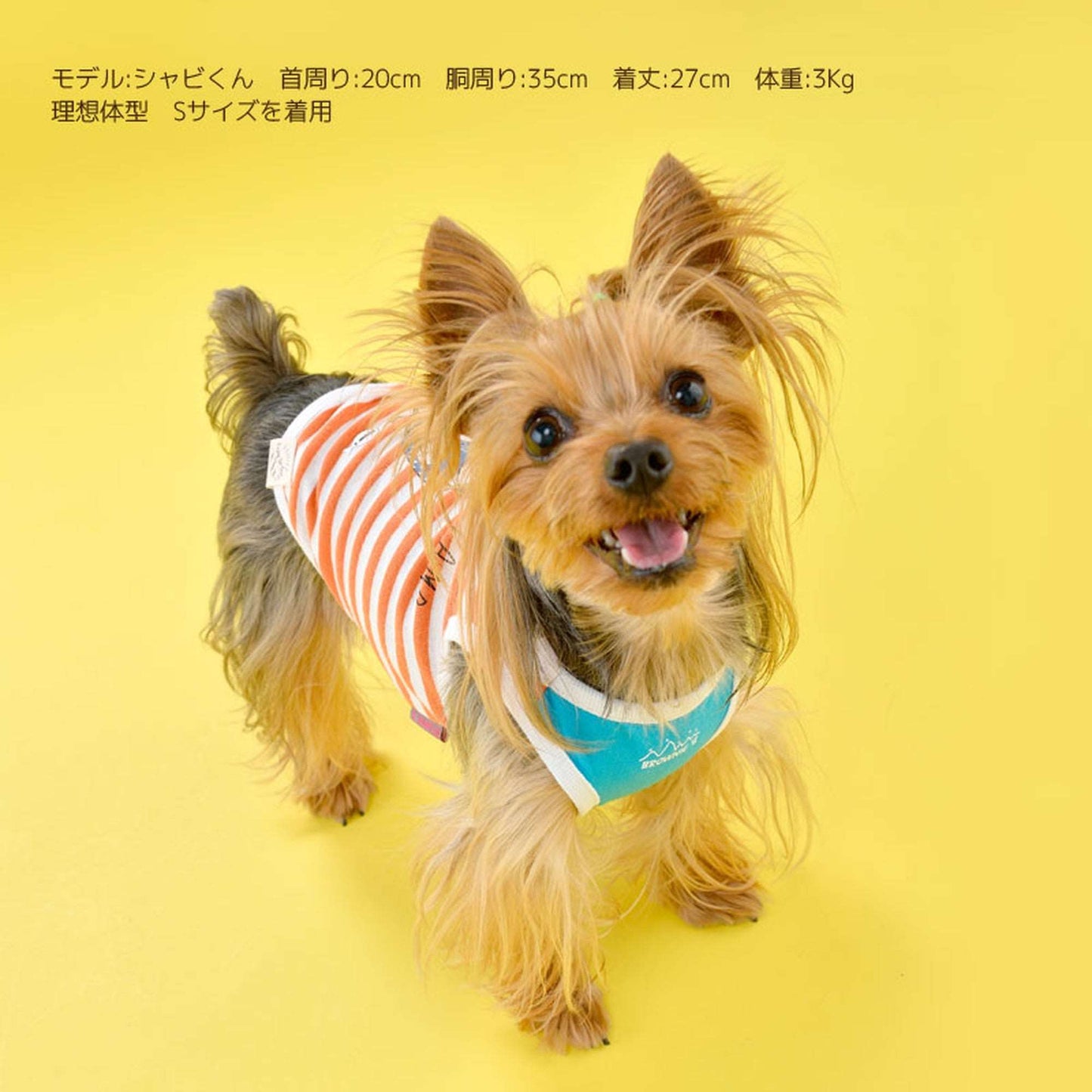 ちょっと一杯シロクマタンク 犬服 ドッグウェア S/M/L/XL/XXL ワンボヤージュ ブラウニーズ トイプードル チワワ ダックス br131546-1