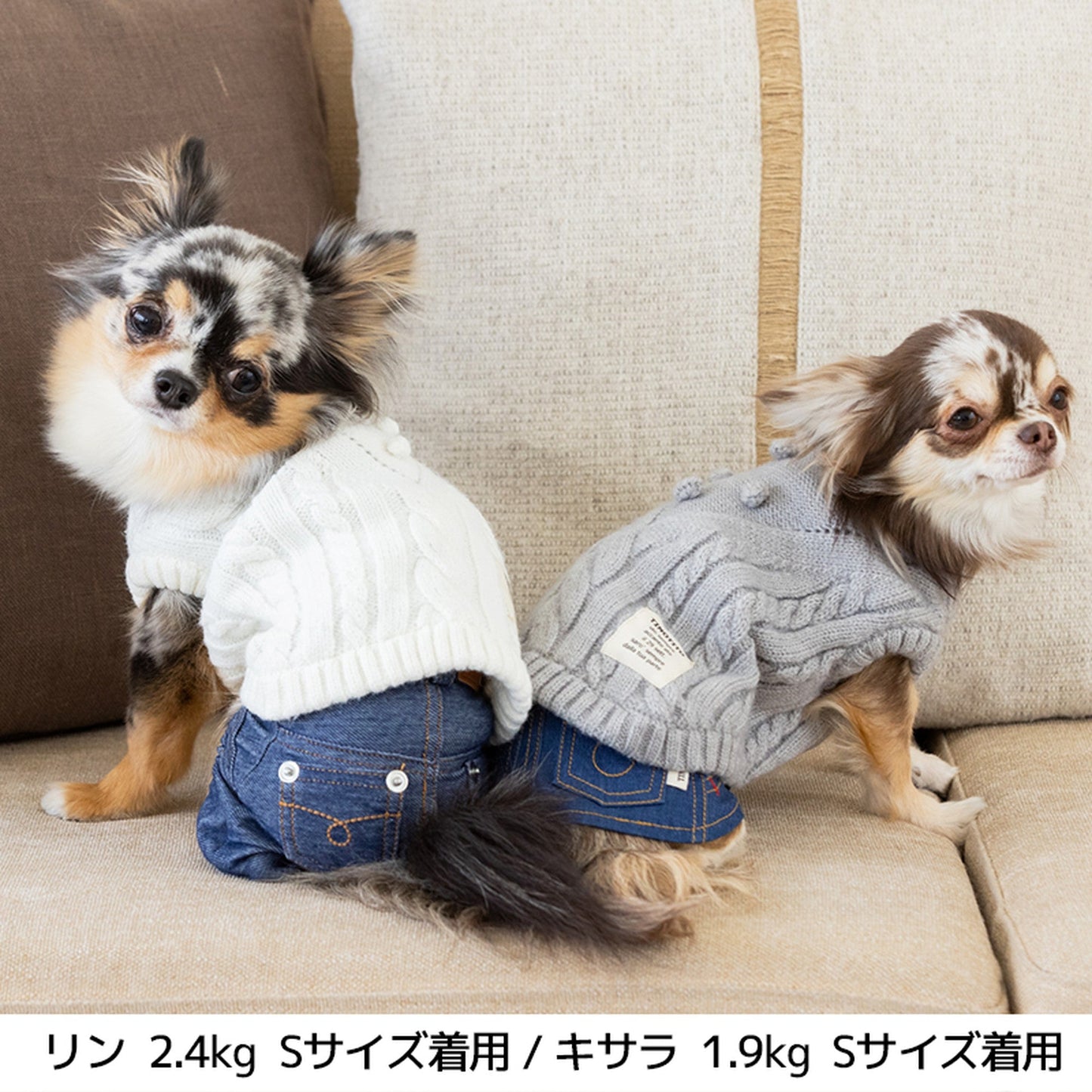ポコポコ編みニット XL/XXL TINOTITO -ティノティート- 犬服 ドッグウェア トイプードル チワワ ポメラニアン TT21AW tt152231-3