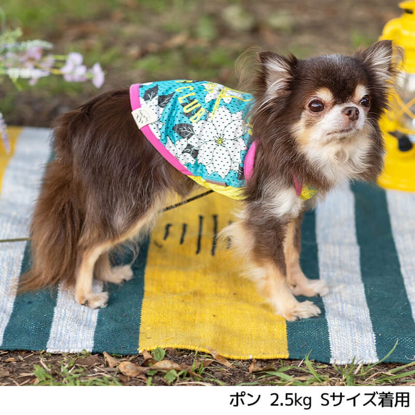 クレマチス柄メッシュタンク S/M/L/XL/XXL BROWNIE'S-ブラウニーズ- 犬服 ドッグウェア トイプードル チワワ ポメラニアン BR22SS br161673-1