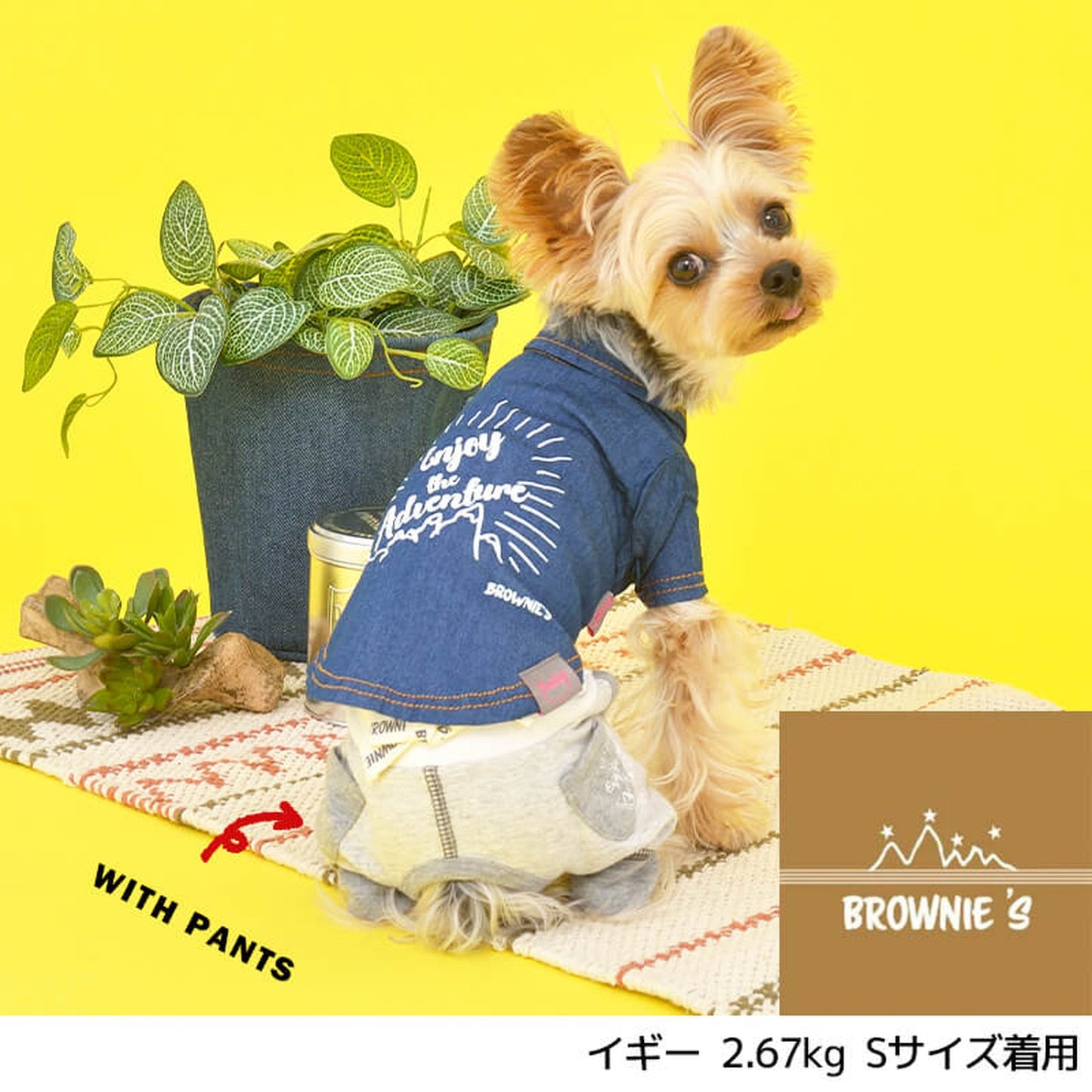 マウンテンデニムシャツ S/M/L/XL/XXL BROWNIE'S-ブラウニーズ- 犬服 ドッグウェア トイプードル チワワ ポメラニアン BR22SS br162684-1