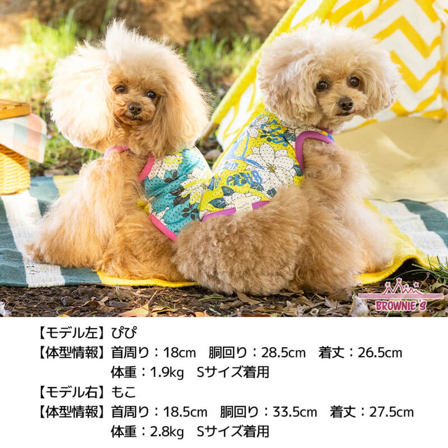 クレマチス柄メッシュタンク S/M/L/XL/XXL BROWNIE'S-ブラウニーズ- 犬服 ドッグウェア トイプードル チワワ ポメラニアン BR22SS br161673-1