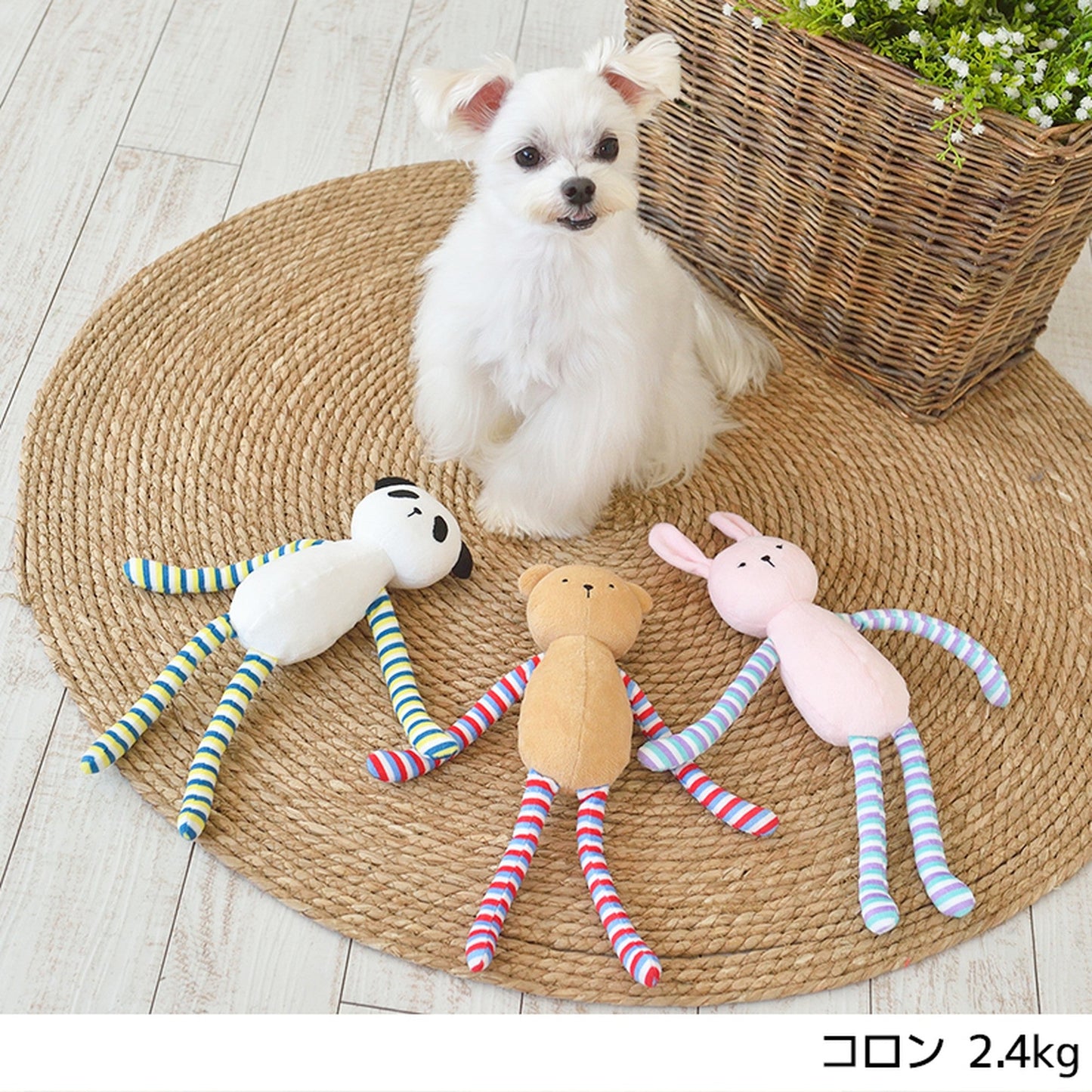 手足長動物シリーズ ながいさん Free Solgra-ソルグラ- 犬用 ペット用 おもちゃ ぬいぐるみ 玩具 トイプードル チワワ ポメラニアン SO21AW so155076-1