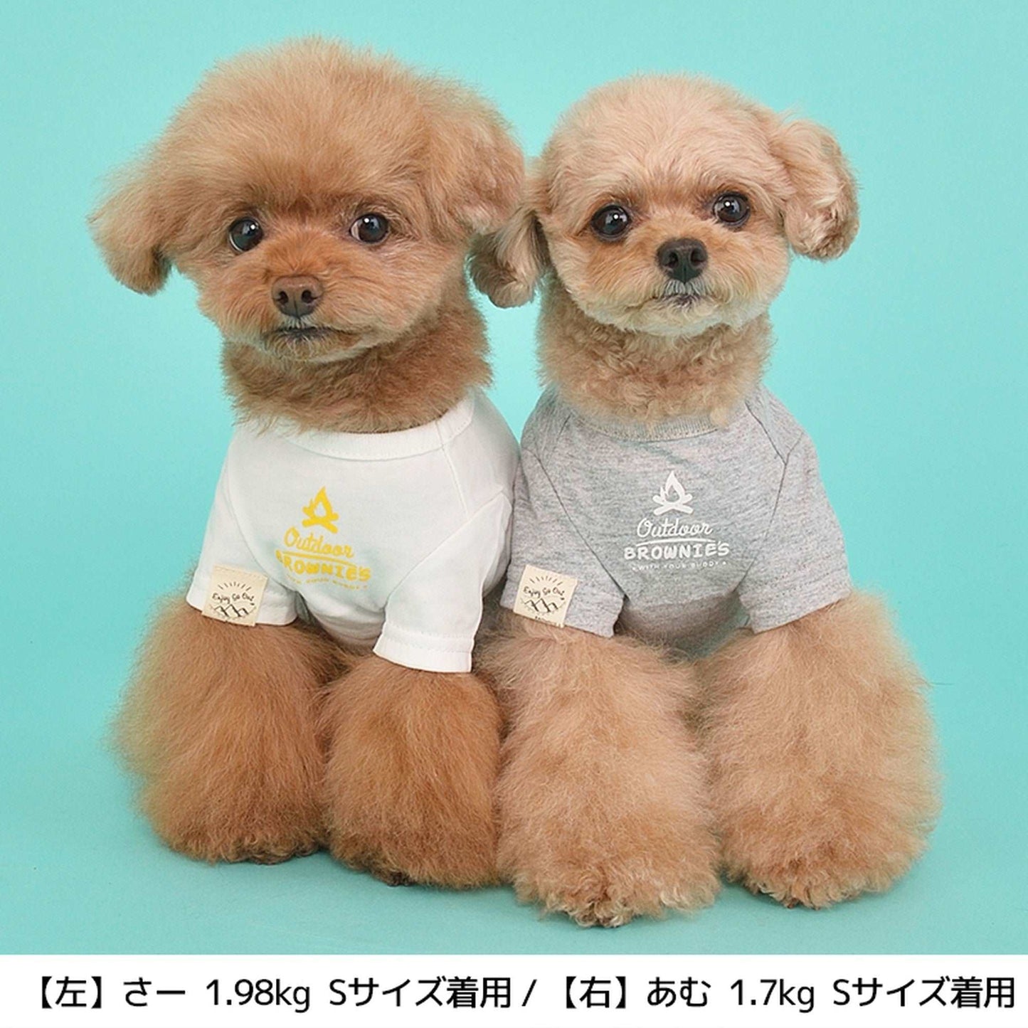 お魚とくまさんTシャツ S/M/L/2L/3L BROWNIE'S-ブラウニーズ- 犬服 ドッグウェア トイプードル チワワ ポメラニアン br151622-1 BR21SS