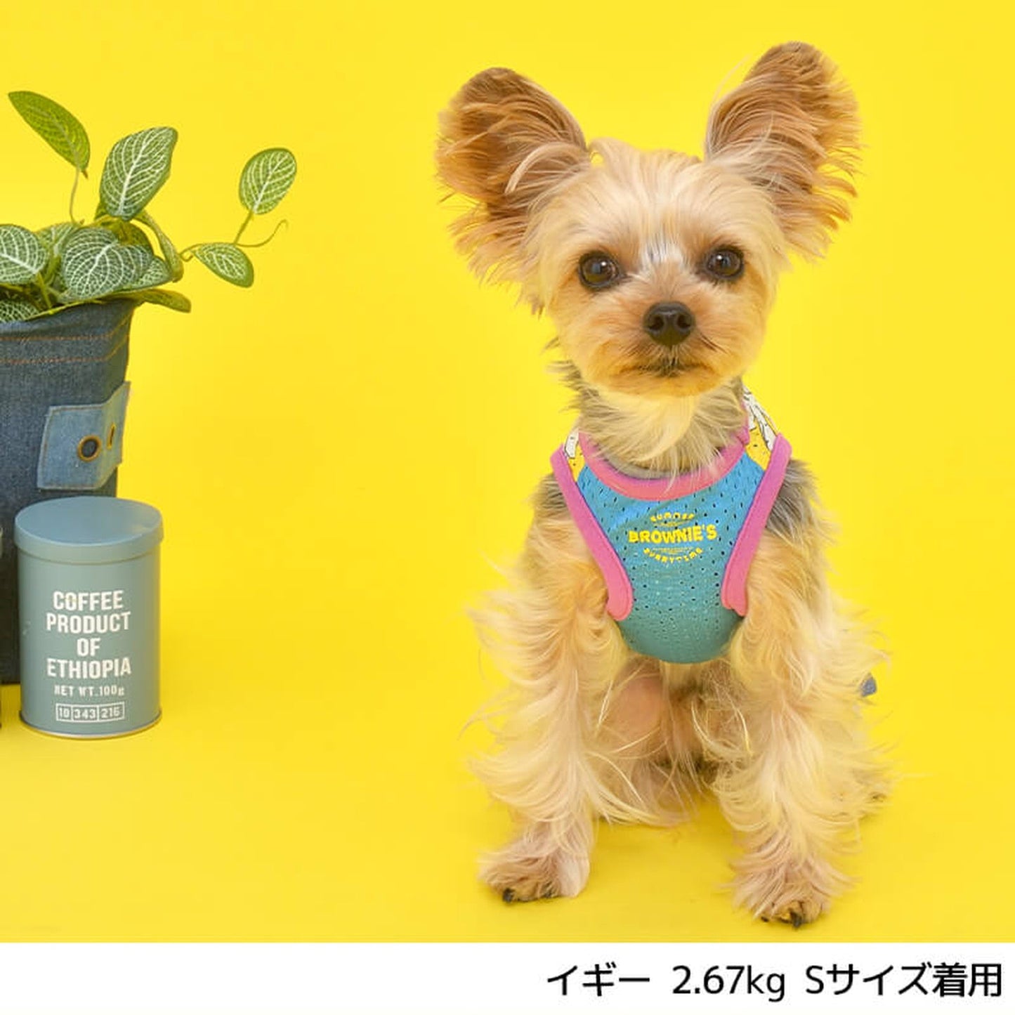 クレマチス柄メッシュタンク S/M/L/XL/XXL BROWNIE'S-ブラウニーズ- 犬服 ドッグウェア トイプードル チワワ ポメラニアン BR22SS br161673-1