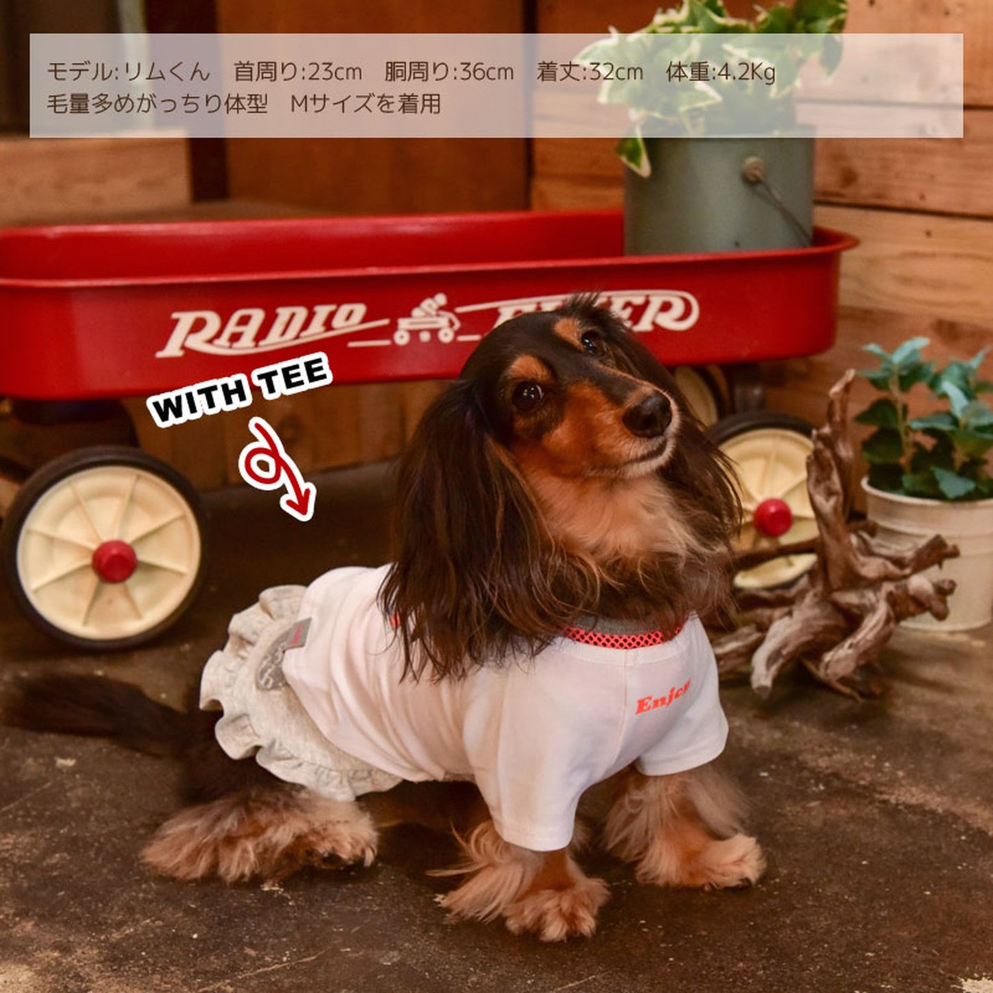 メッシュロンパース・ワンピース 犬服 ドッグウェア S/M/L/XL/XXL ワンボヤージュ ブラウニーズ トイプードル チワワ ダックス br133553-1
