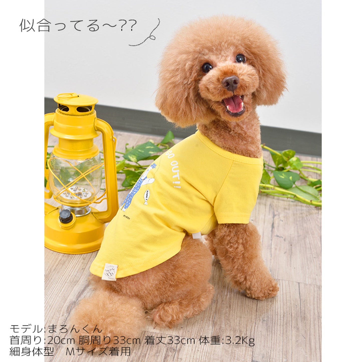 釣りするシロクマTシャツ 犬服 ドッグウェア S/M/L/XL/XXL ワンボヤージュ ブラウニーズ トイプードル チワワ ダックス br121520-1