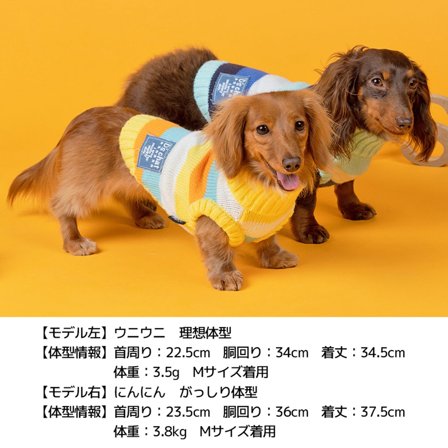 カラフルボーダーニット XL/XXL/DS/DM D's Chat-ディーズチャット- 犬服 ドッグウェア トイプードル チワワ ポメラニアン DS21AW ds152106-2