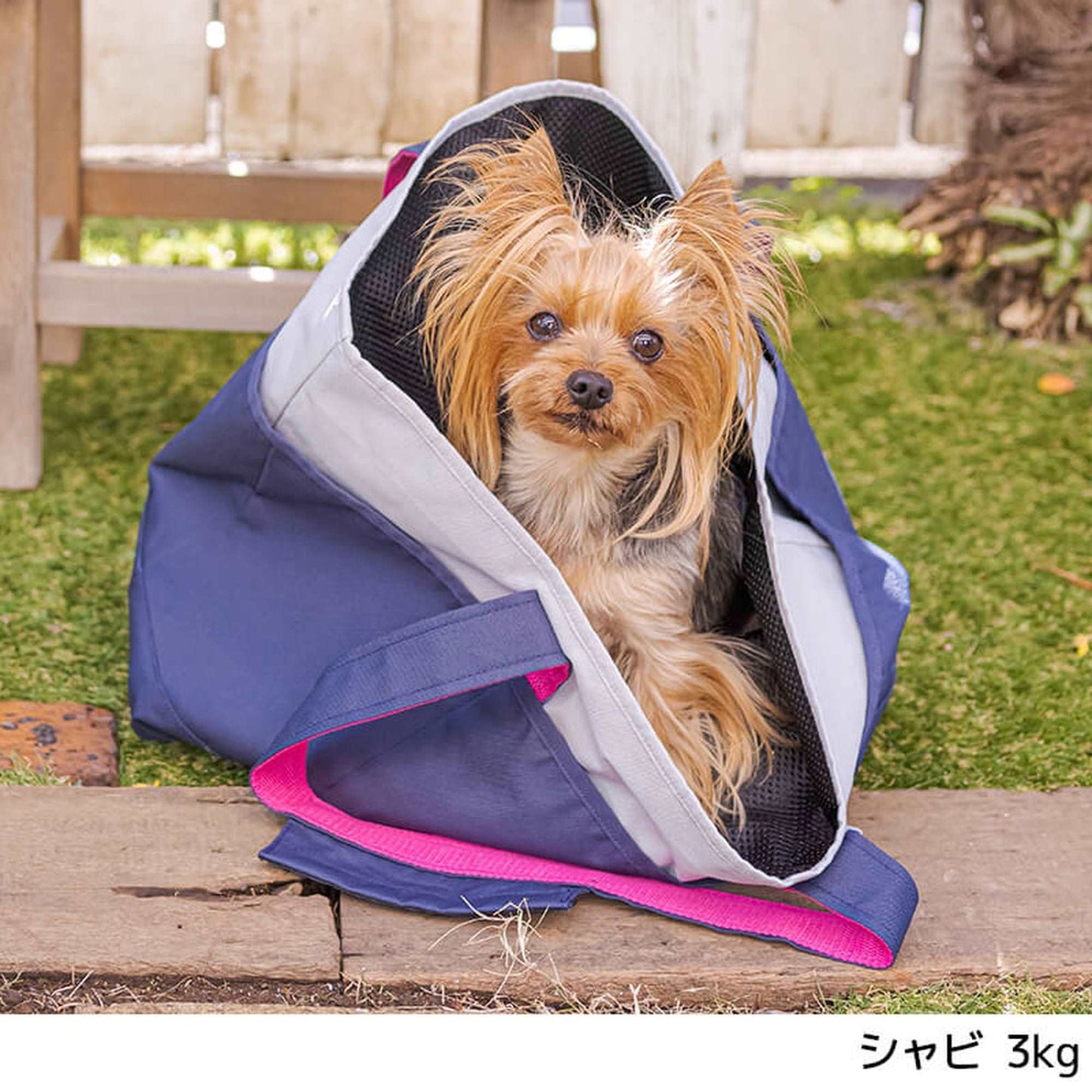 2トーンナイロントートバッグ Free Solgra-ソルグラ- 犬用 ペット用 お散歩 トイプードル チワワ ポメラニアン so148004-1