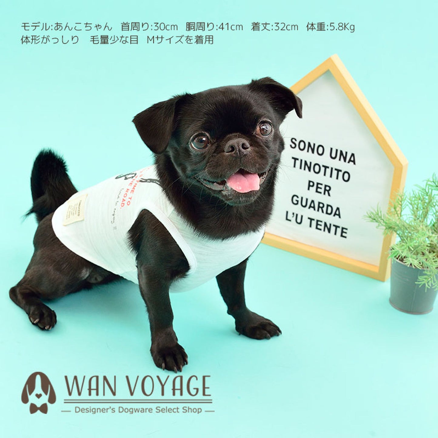 双眼鏡タンクトップ 犬服 ドッグウェア XS/S/M/L/XL/XXL ワンボヤージュ TINOTITO ティノティート トイプードル チワワ ダックス tt141153-1