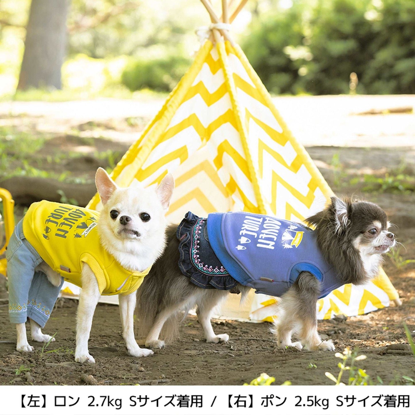 くまさんとキャンプベスト S/M/L/XL/XXL BROWNIE'S-ブラウニーズ- 犬服 ドッグウェア トイプードル チワワ ポメラニアン BR21AW br152643-1